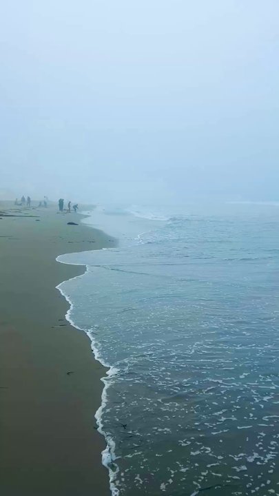 Dillon Beach - Beaches Near Me - Dillon Beach, California