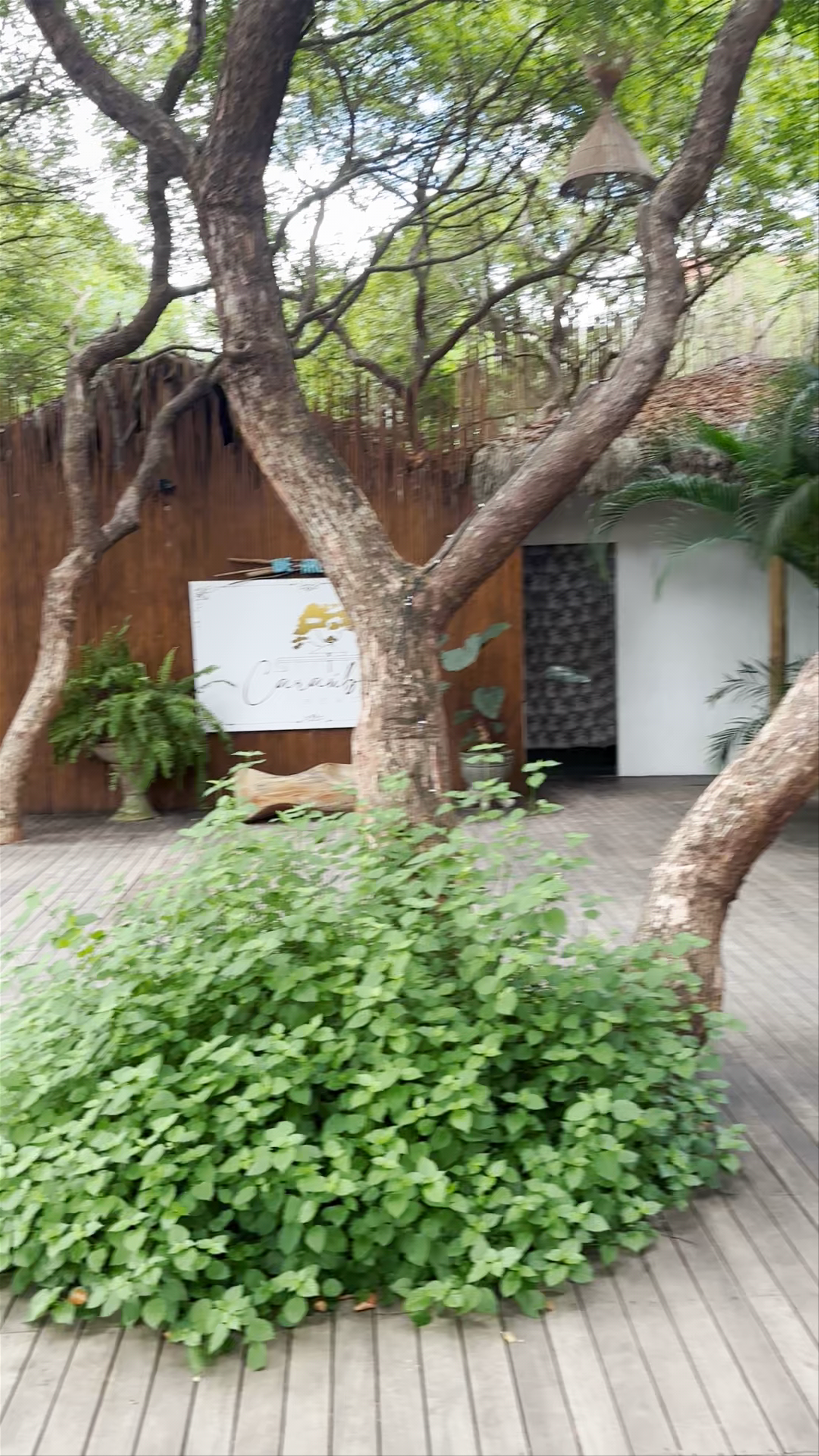 Caraúba Beach - Rua Pedro Francisco Dutra - dos Lulas