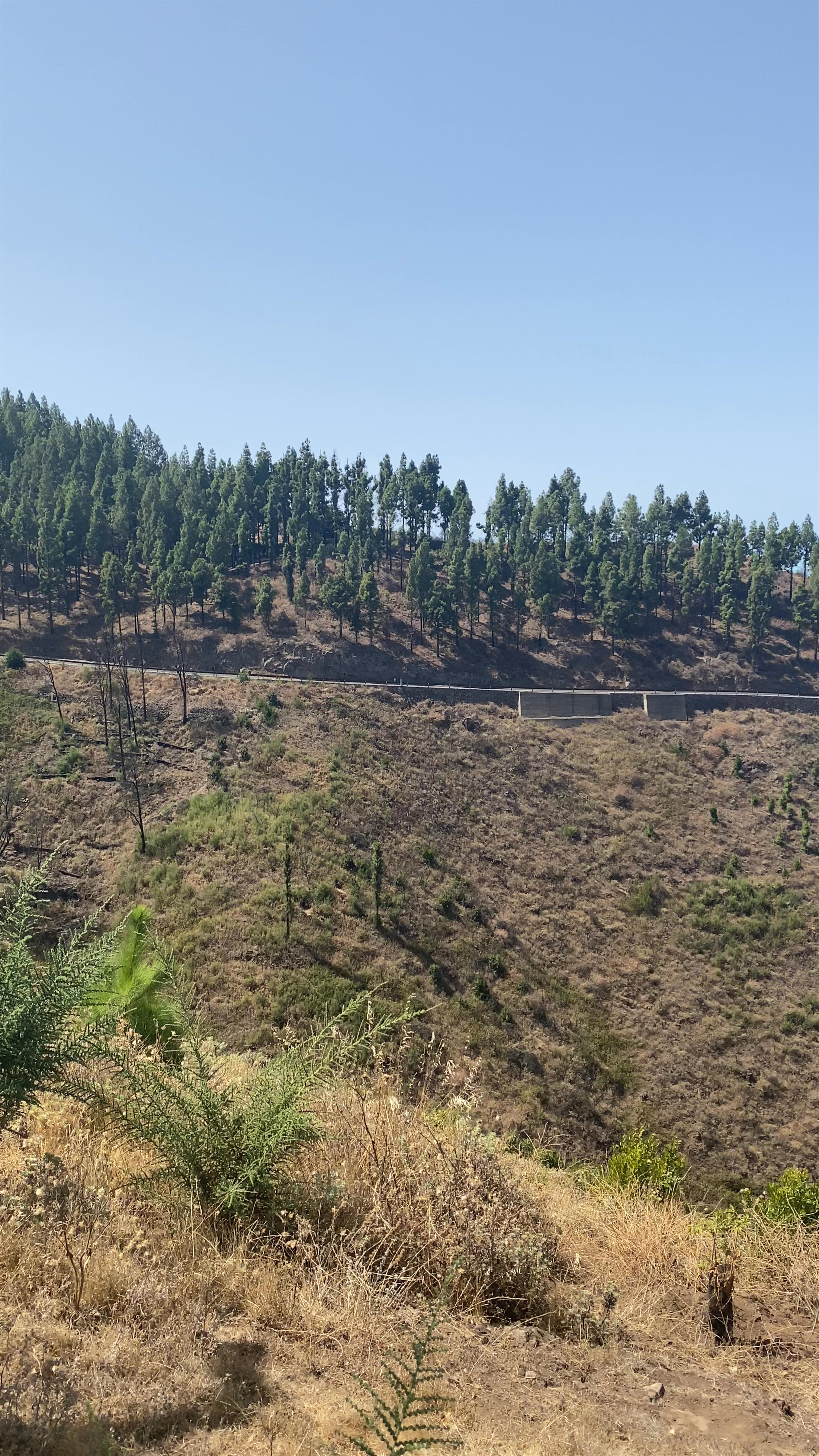 Mirador in Vega de San Mateo: Panoramic Highlands of Gran Canaria