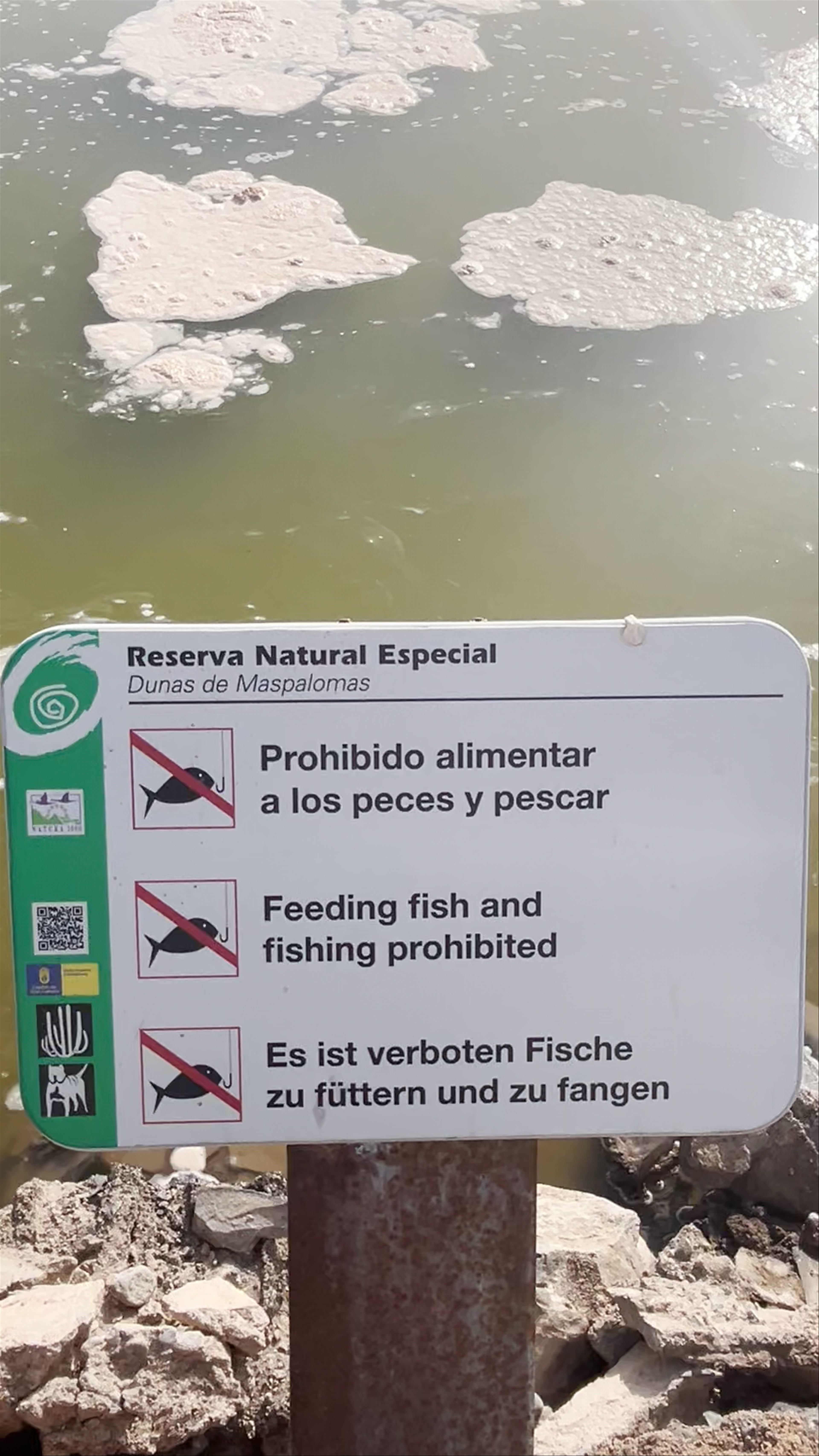 La Charca de Maspalomas