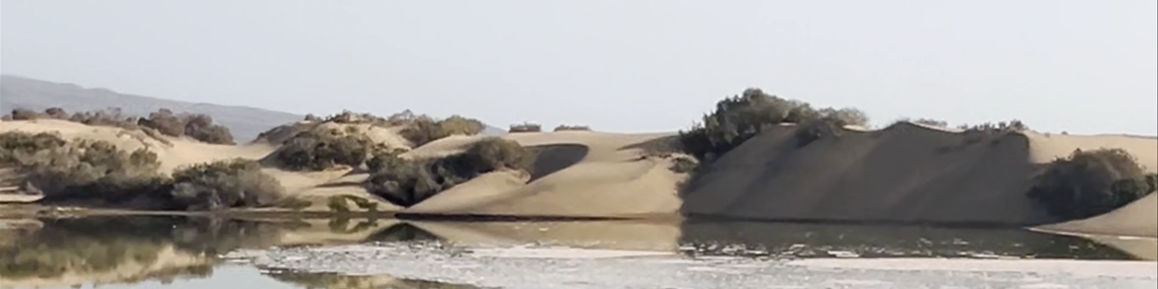 La Charca de Maspalomas