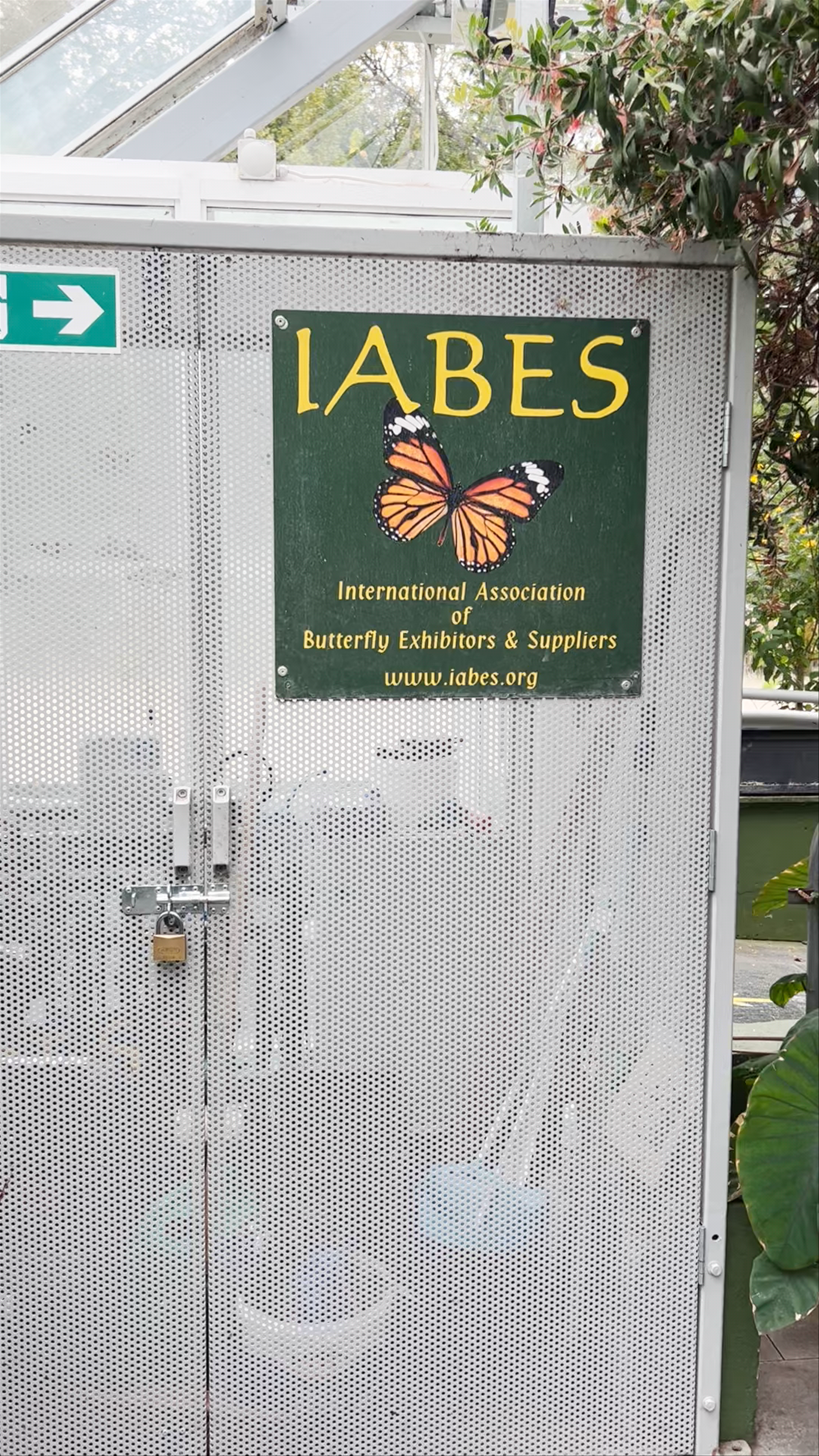 Malahide Butterfly House