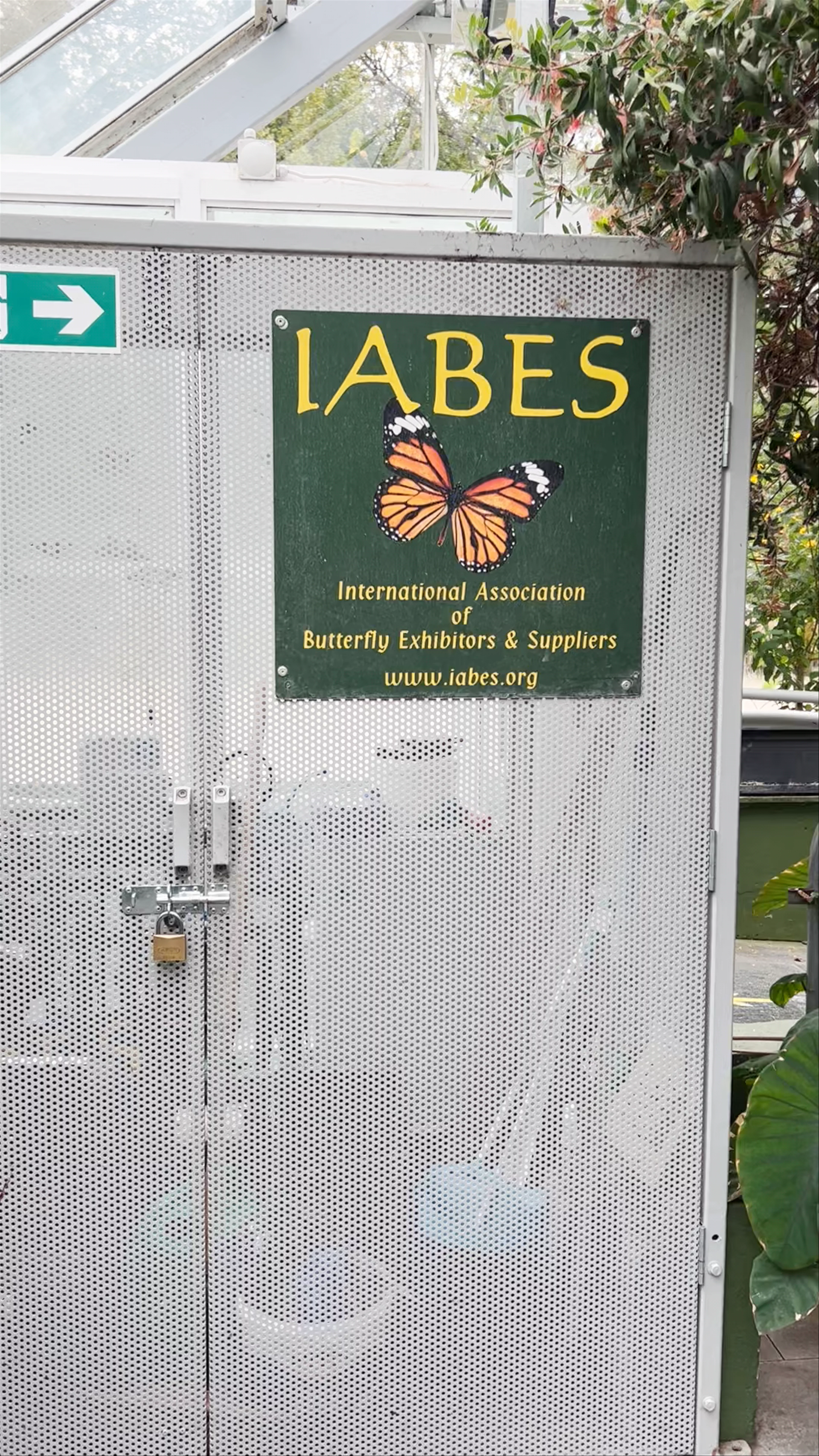 Malahide Butterfly House