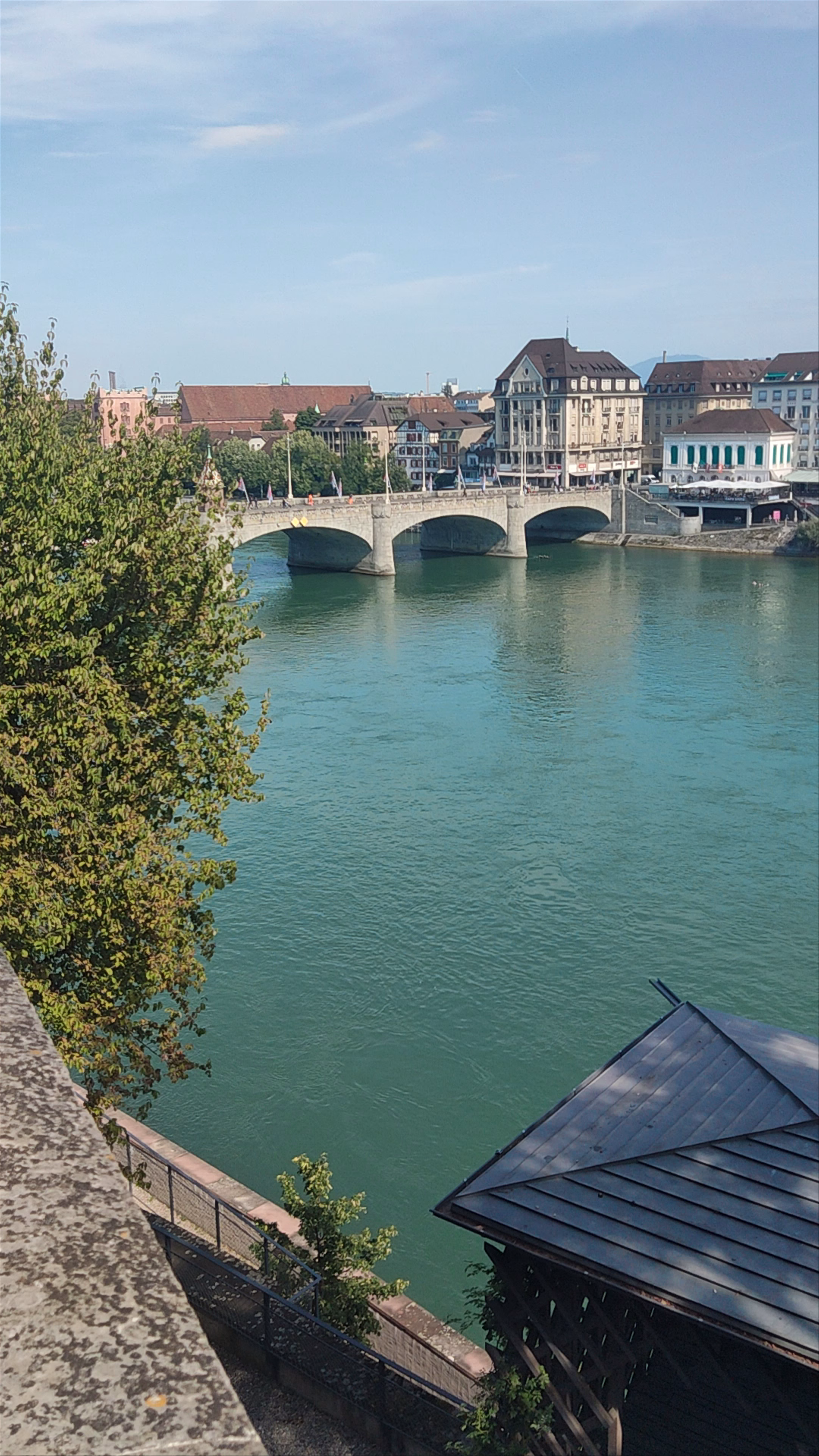 Garten der Alten Universität