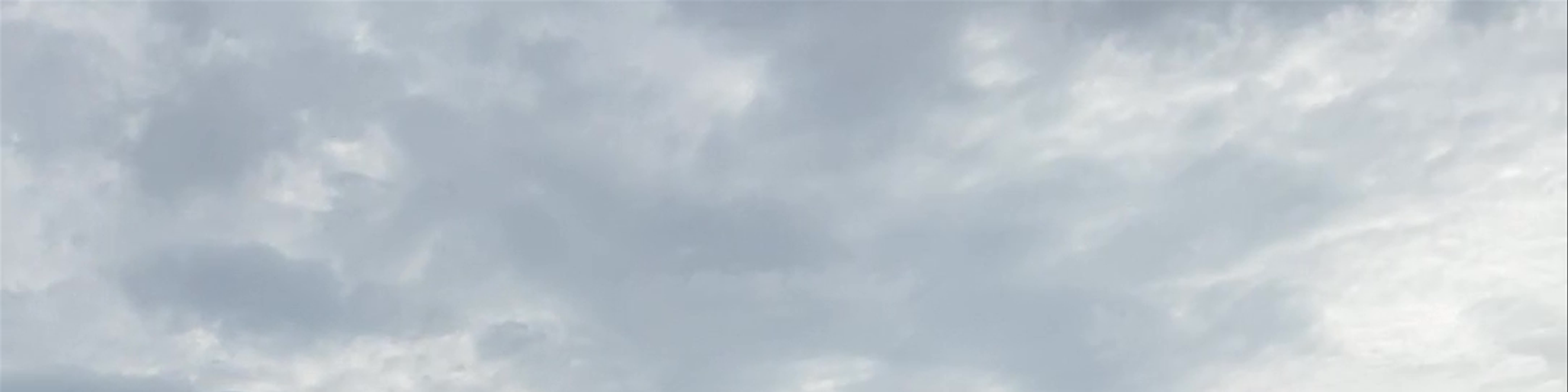 Mascota