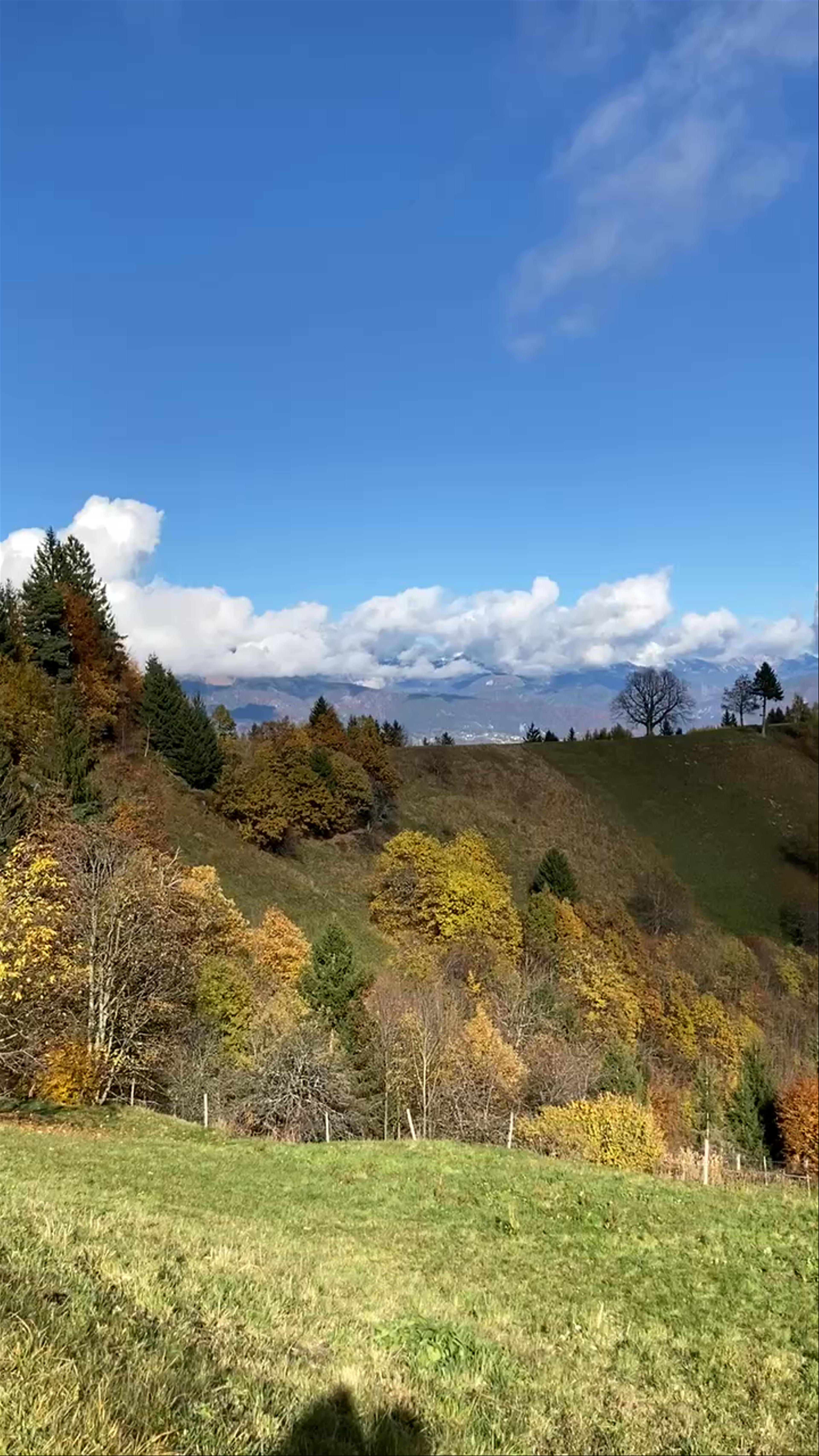 The Church of St. Primož and Felicijan
