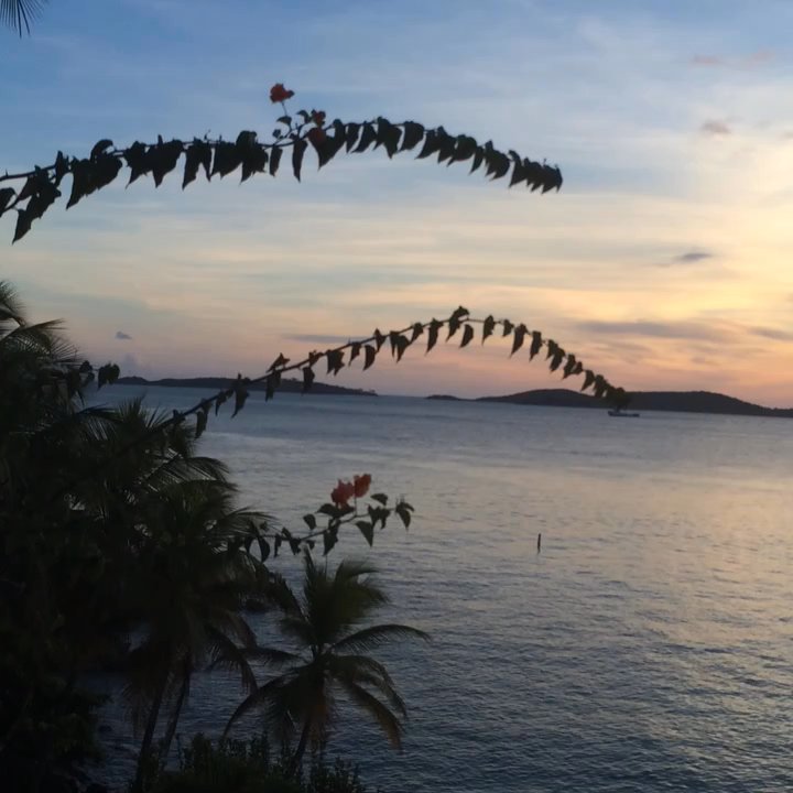 Gallows Point Resort - View from 8D - Hotels Near Me - St. John, Virgin Islands