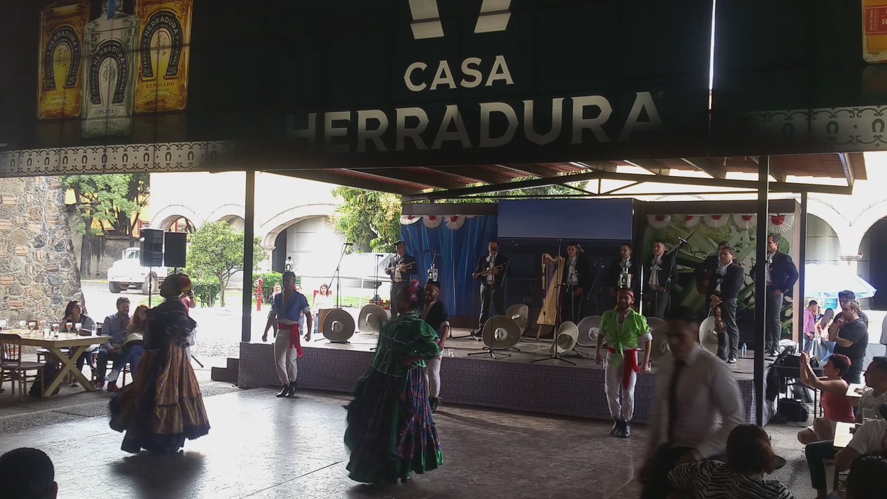 Casa Herradura - Amazing! - Tours Near Me - Amatitan, JAL