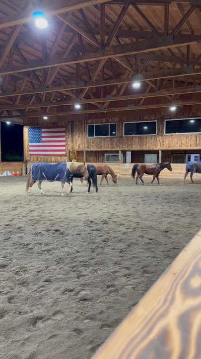 Tamarind Ranch - Horse Boarding Near Me - Oregon City, Oregon