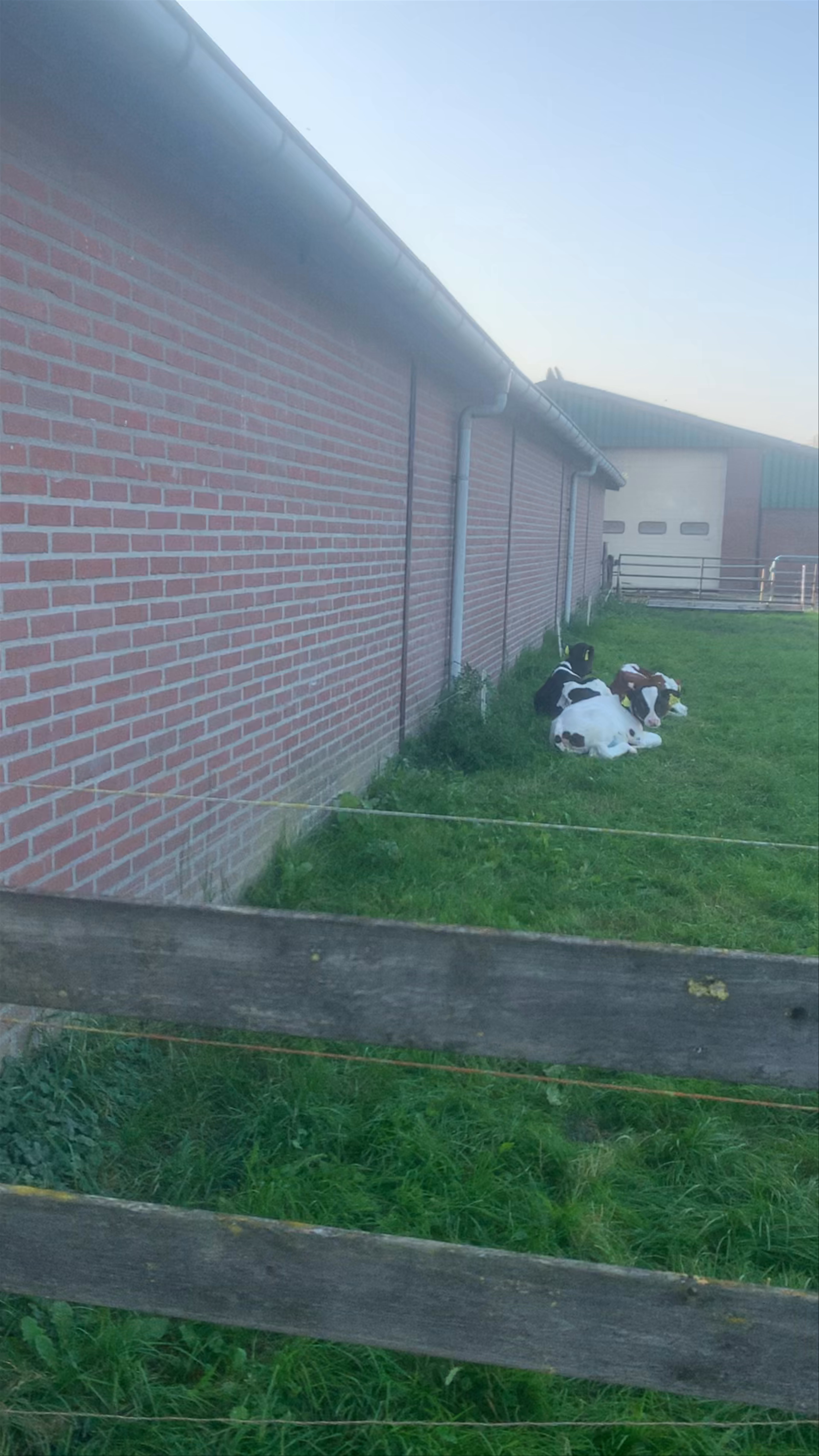 Boerderij Koldermelk