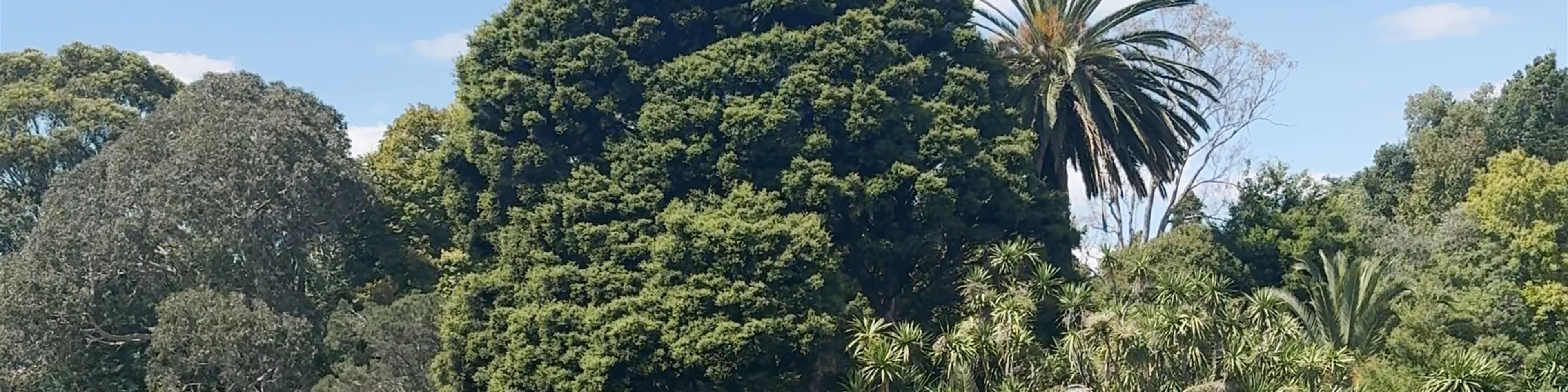 Royal Botanic Gardens Visitor Centre