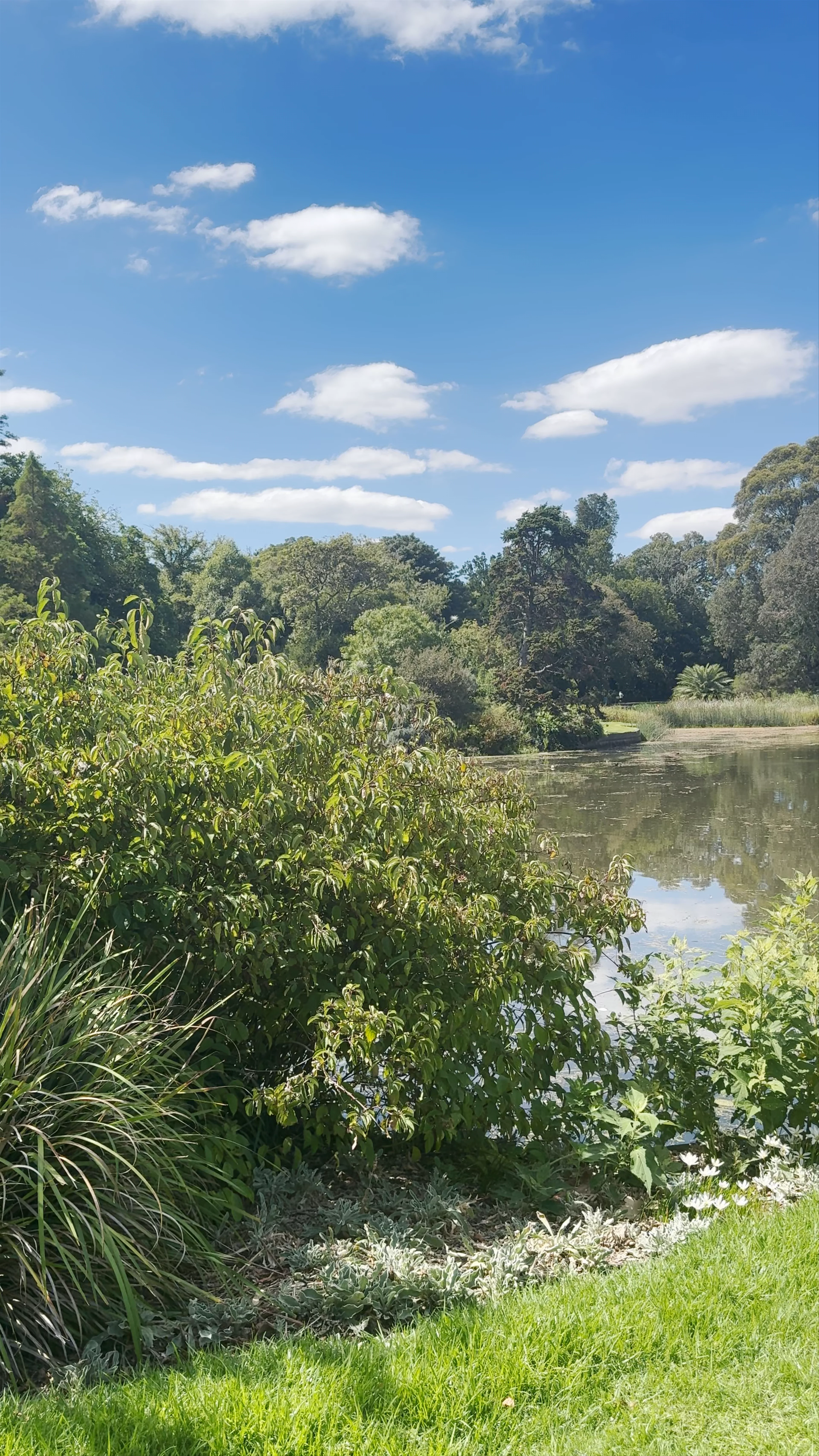 Botanical Gardens Visitor Centre