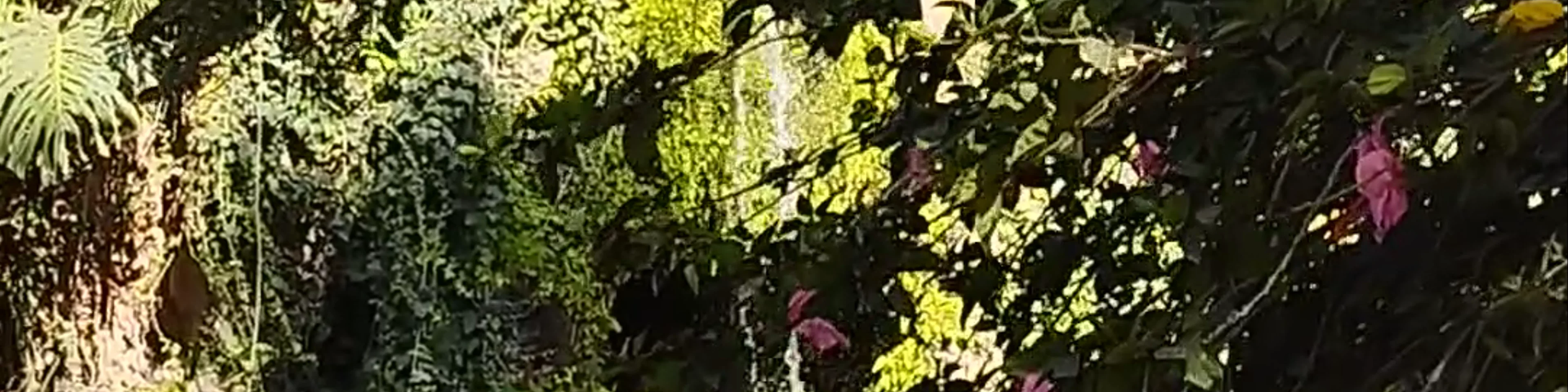 Parque Genovés