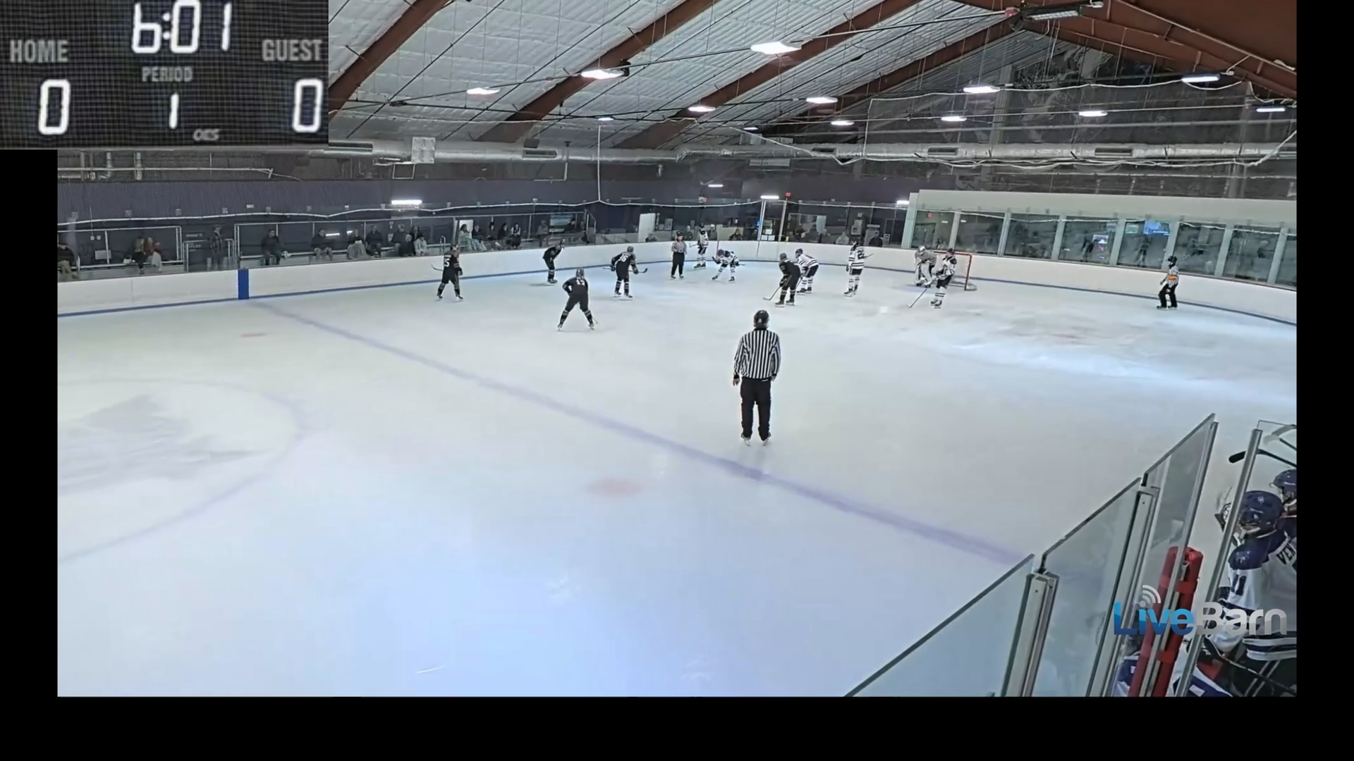 Alexander Pet's Diving Poke Check & Breakout Play