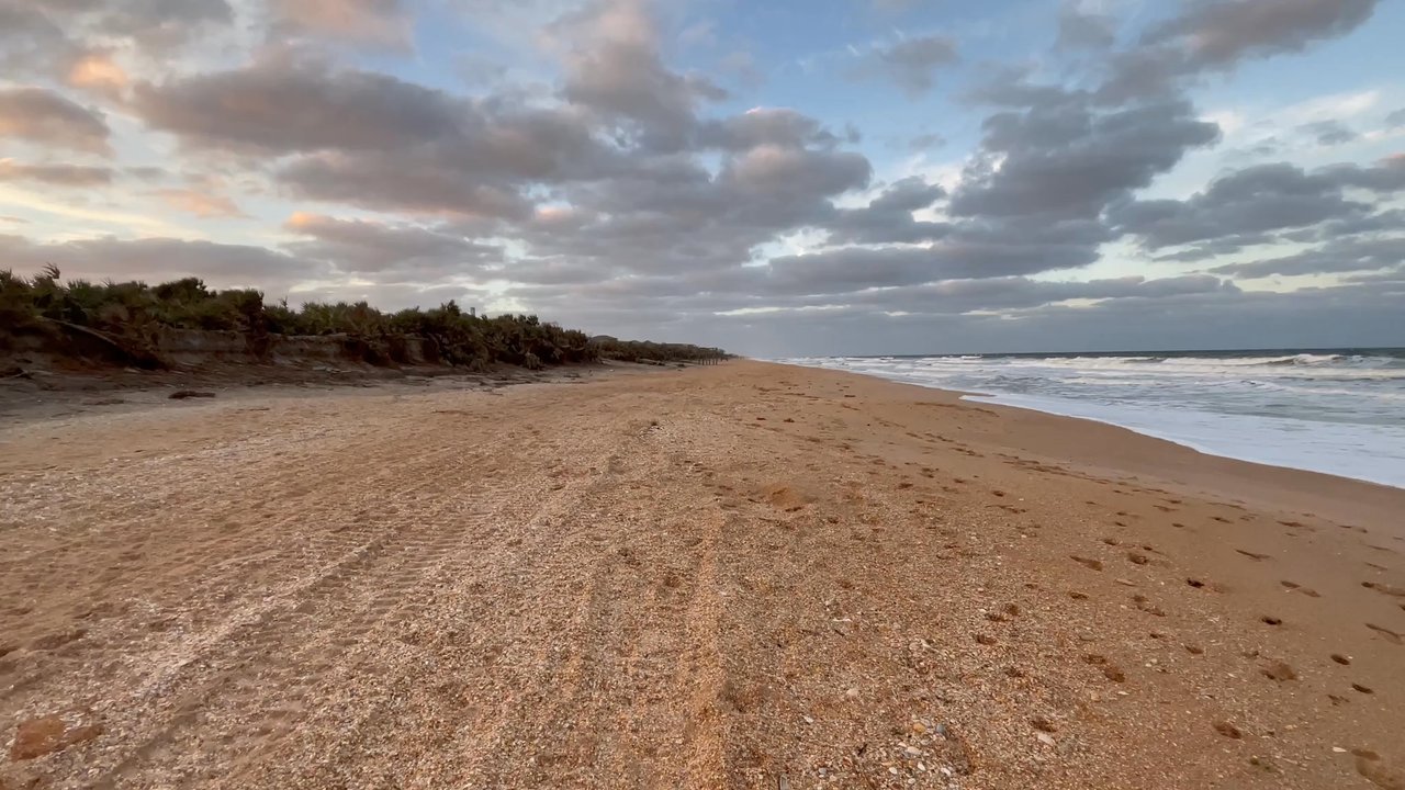 Jungle Hut Park Beach - Beaches Near Me - Palm Coast, Florida