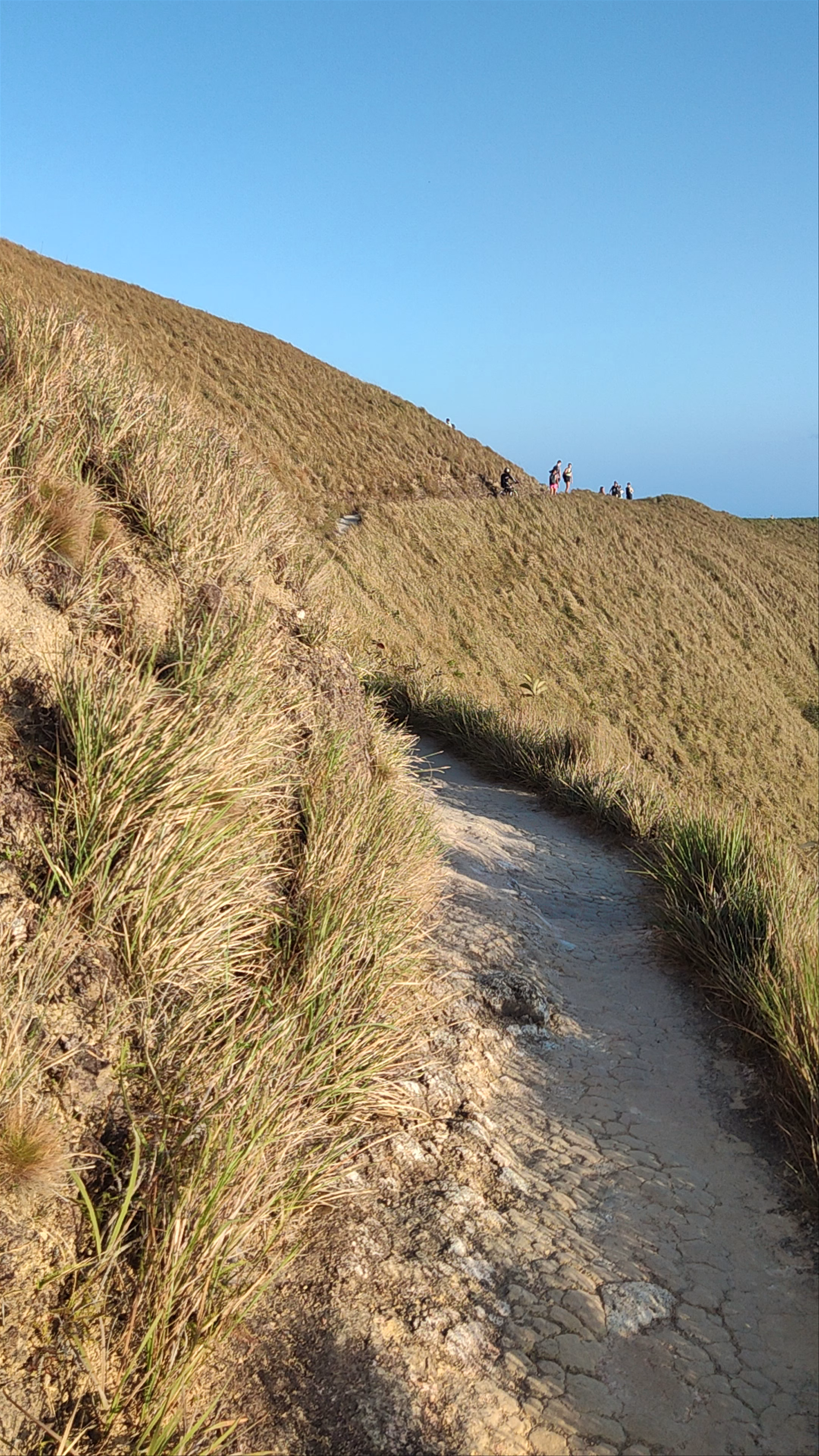 Cerro La Silla (Cruz)