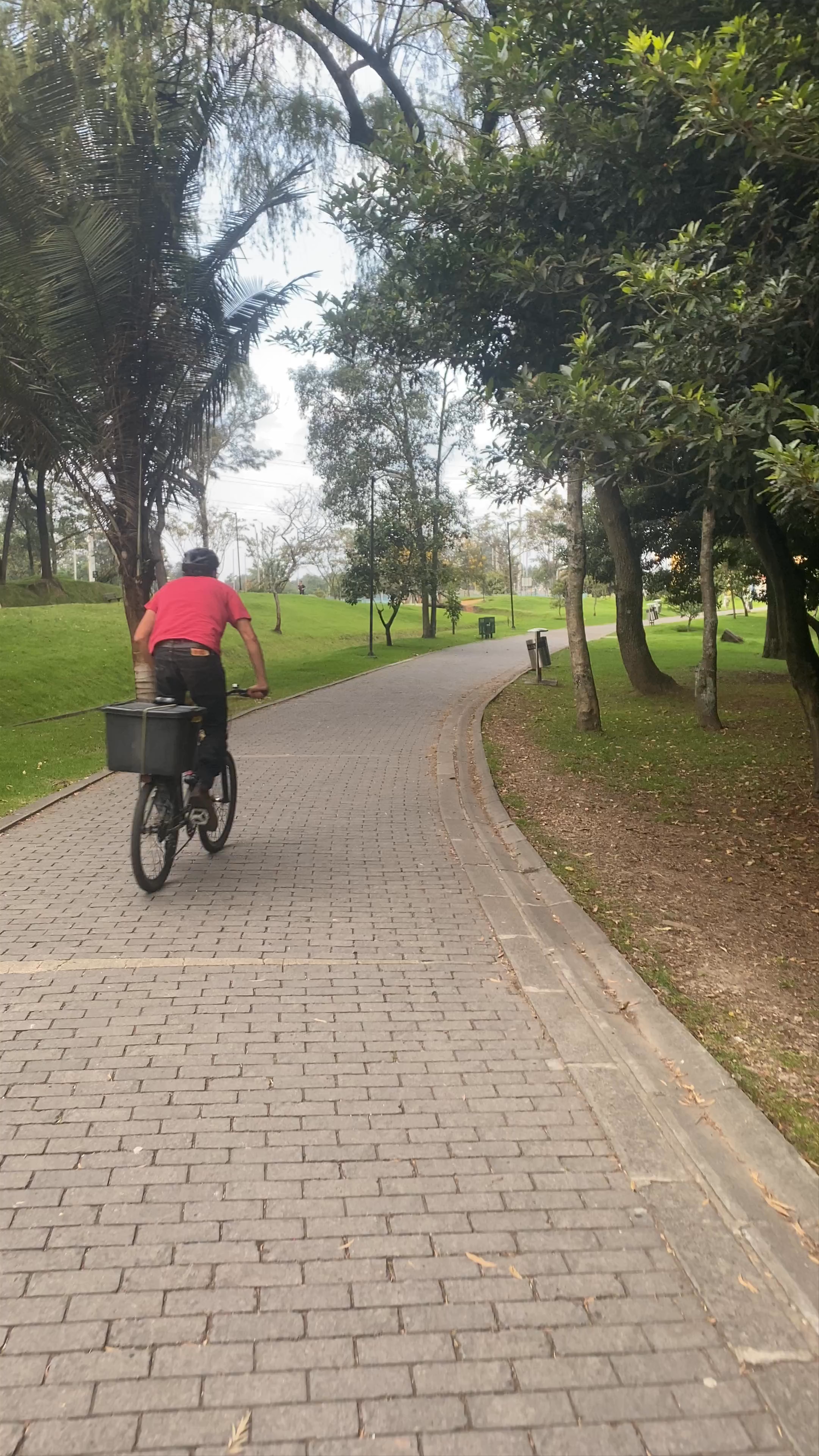 Cycling Through the Green Serenity of Bosque Simón Bolívar in Bogotá