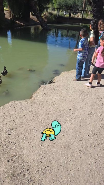Agua Caliente Park - This is the video i share on my snap & tiktok page, which is @amberprado952. I hope u all enjoy this video as much as I did making it - Parks Near Me - Tucson, Arizona