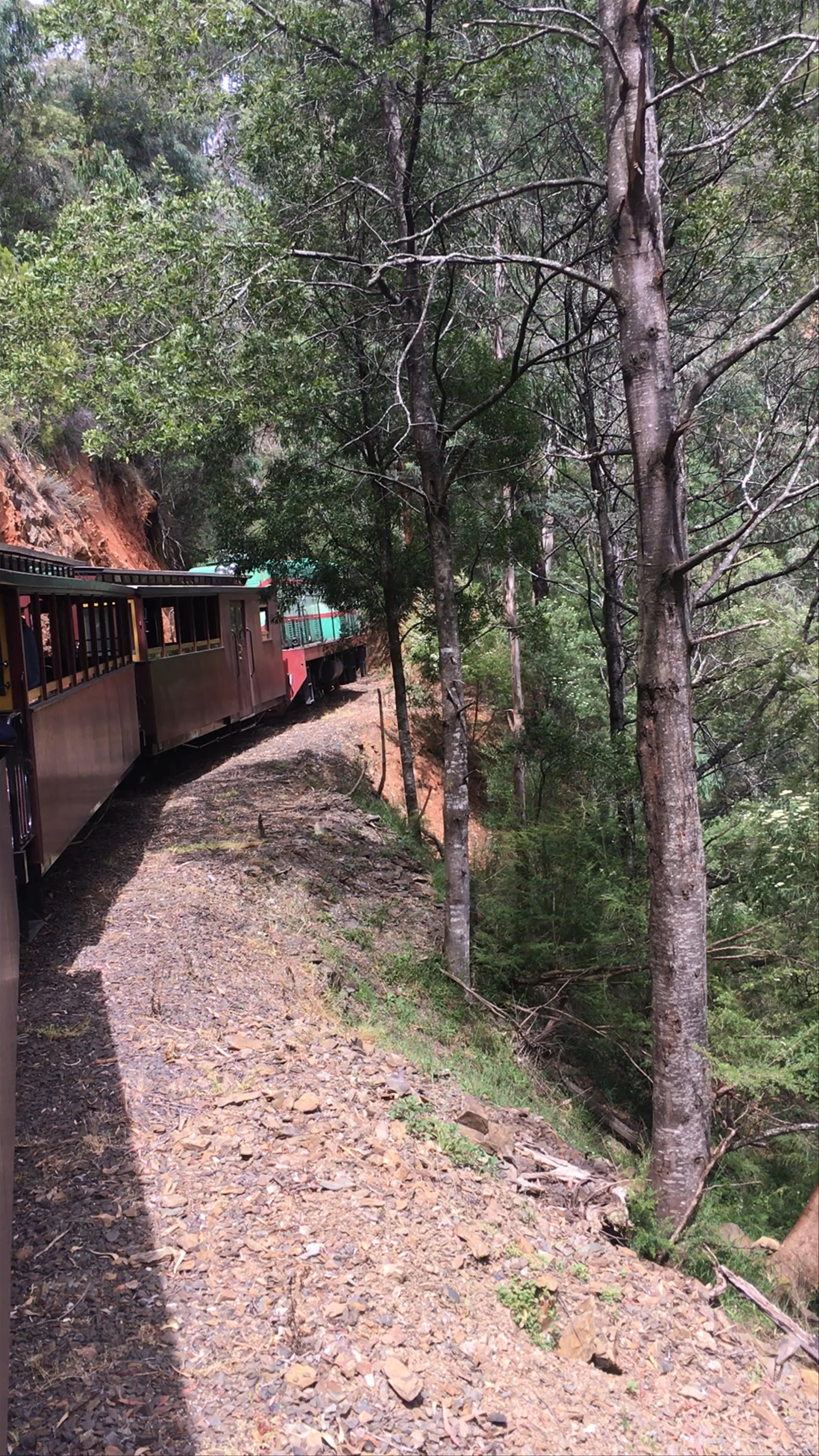 Walhalla Goldfields Railway: Scenic Heritage Train Journey Through Victoria's Wilderness