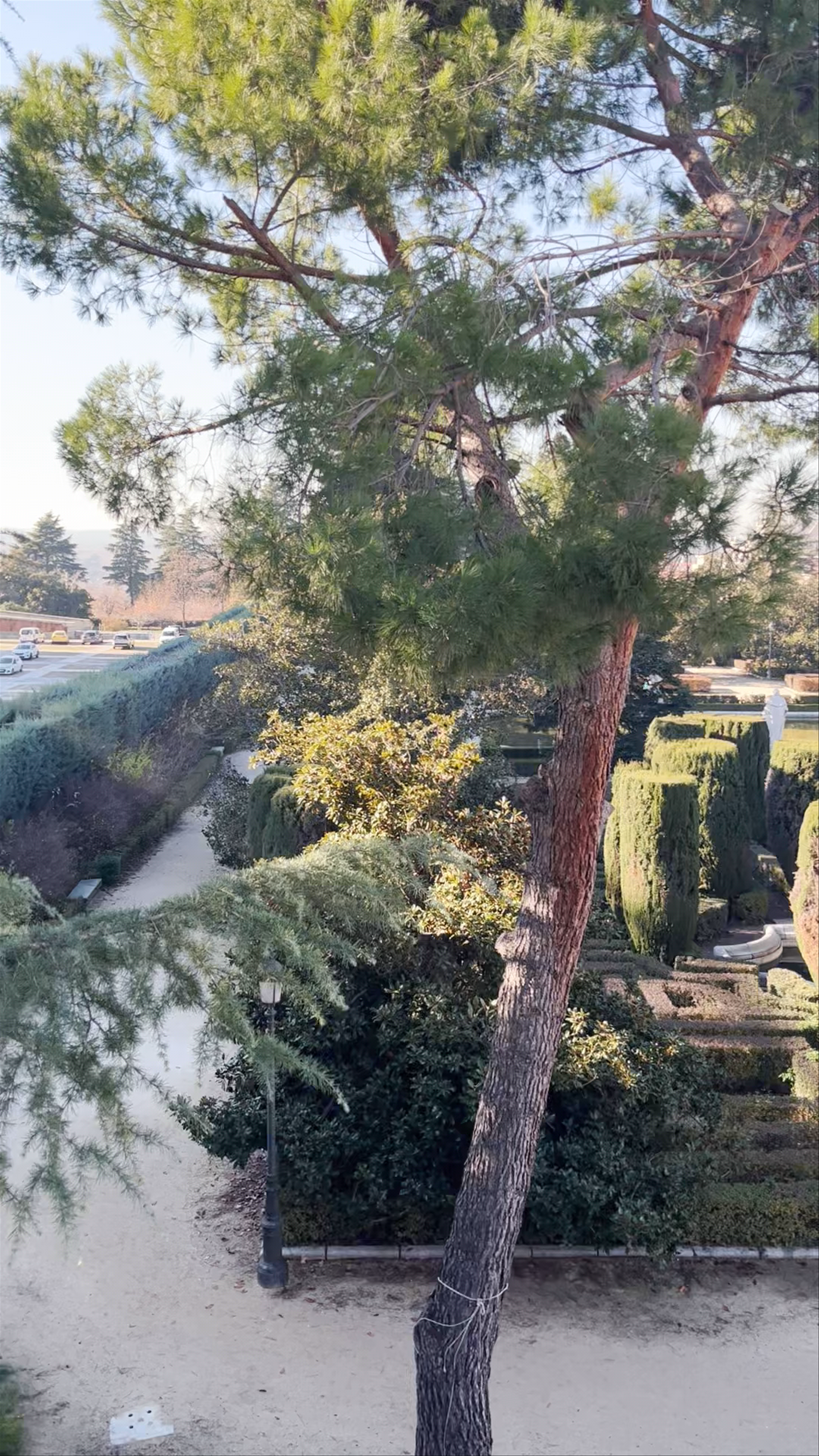 Jardines de Sabatini