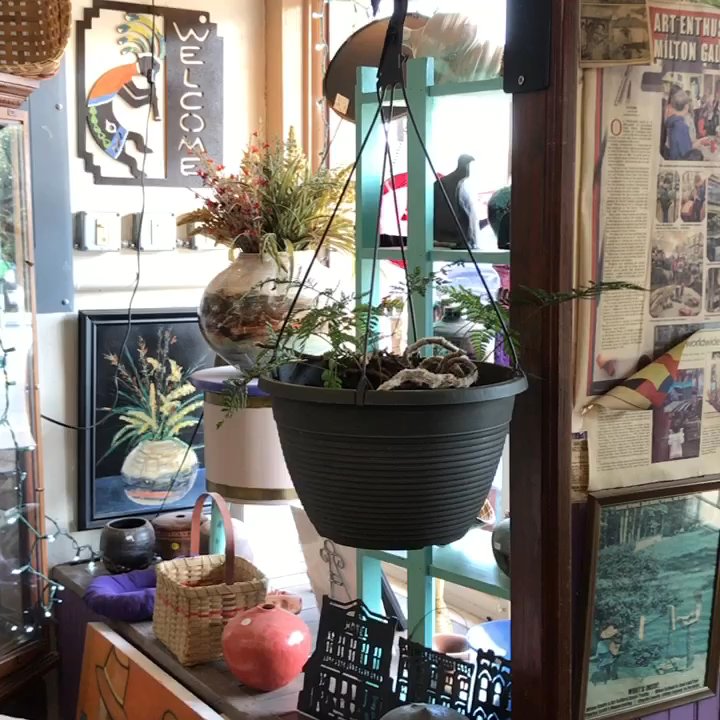 Milton Studio Art Gallery - A quick peek! - Art Galleries Near Me - Milton, North Carolina