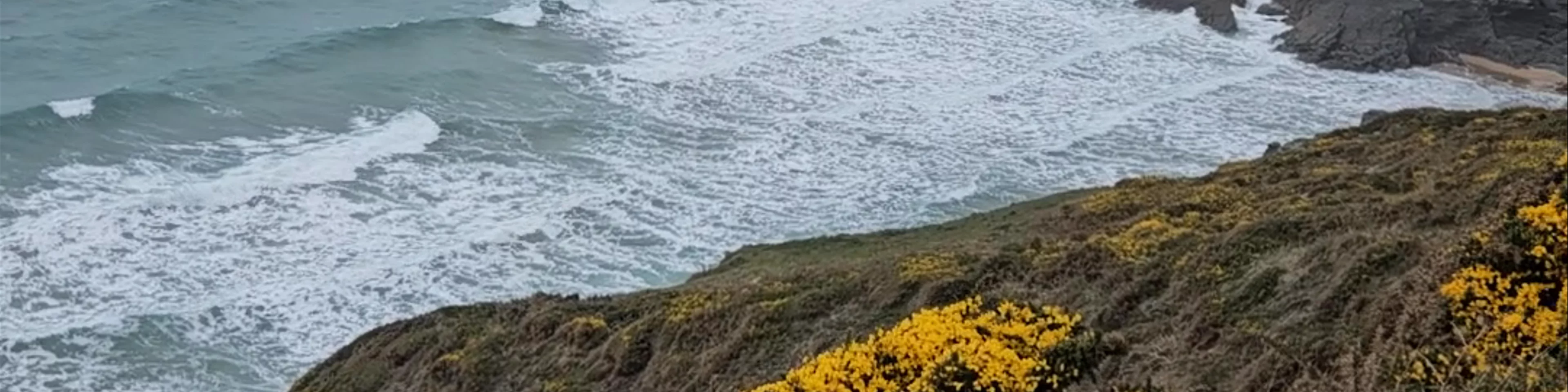 Soar Mill Cove