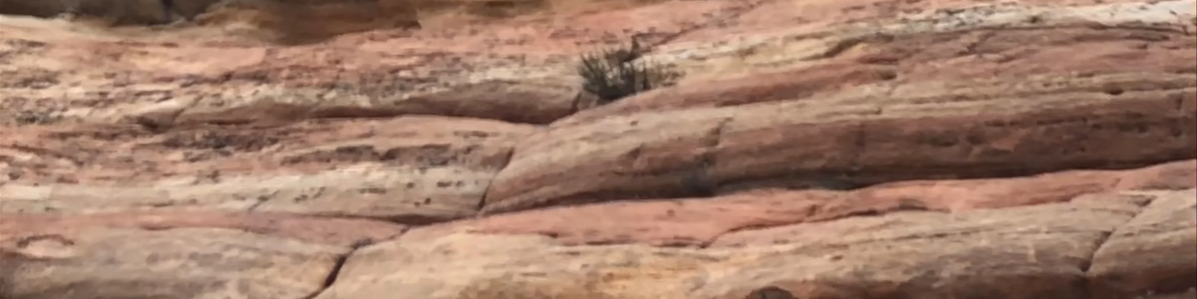 Zion National Park