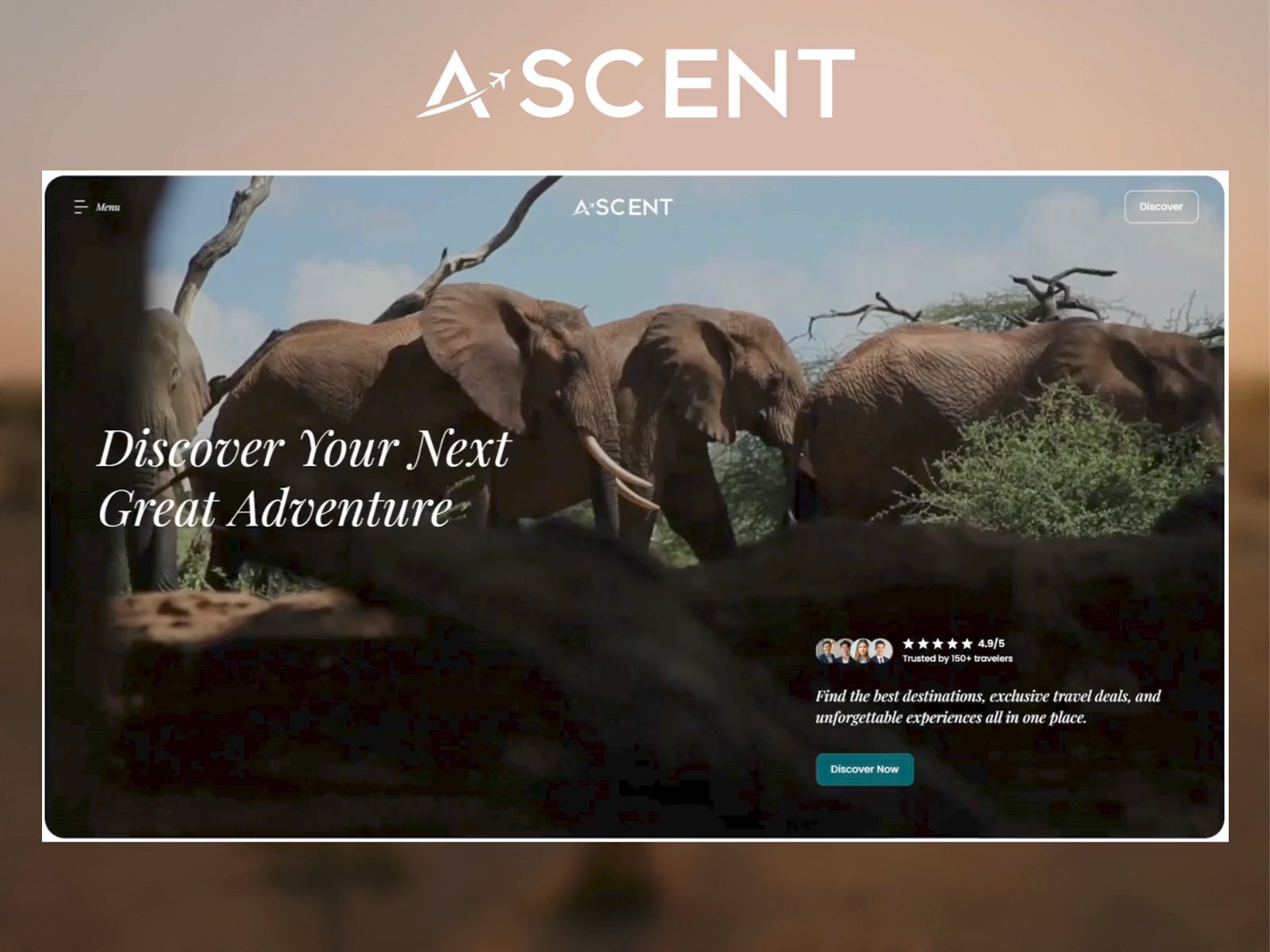 Ascent X