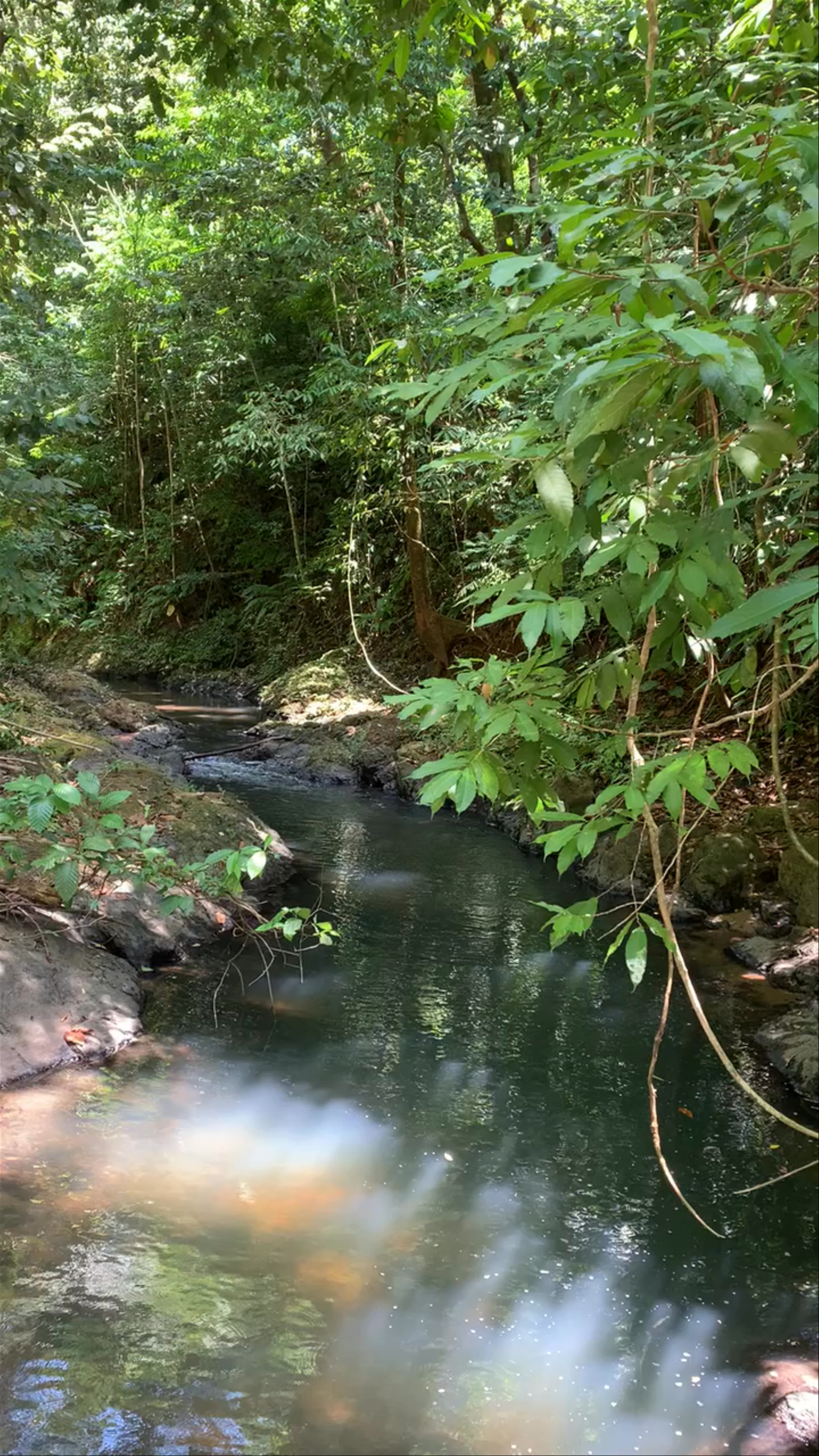 Corcovado National Park