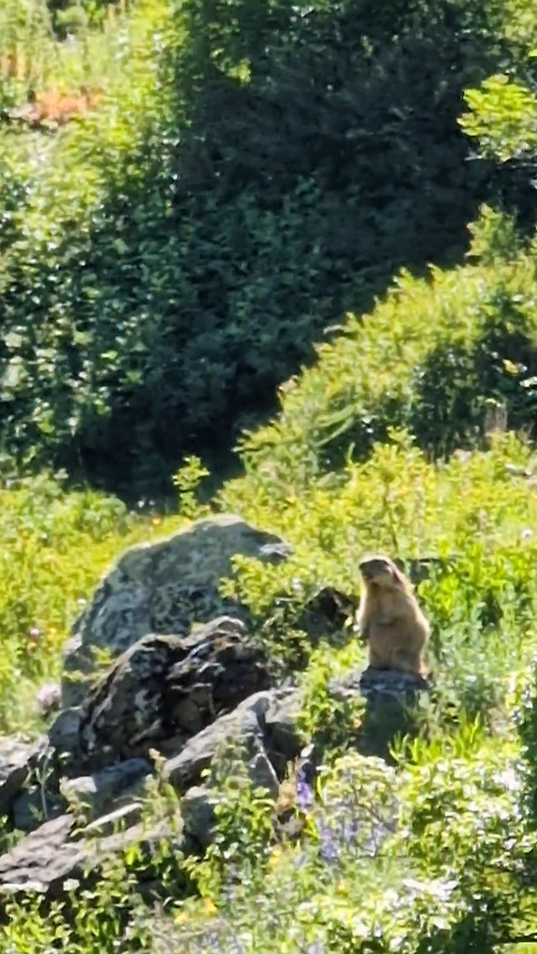 Prapic to Dormillouse photo 16