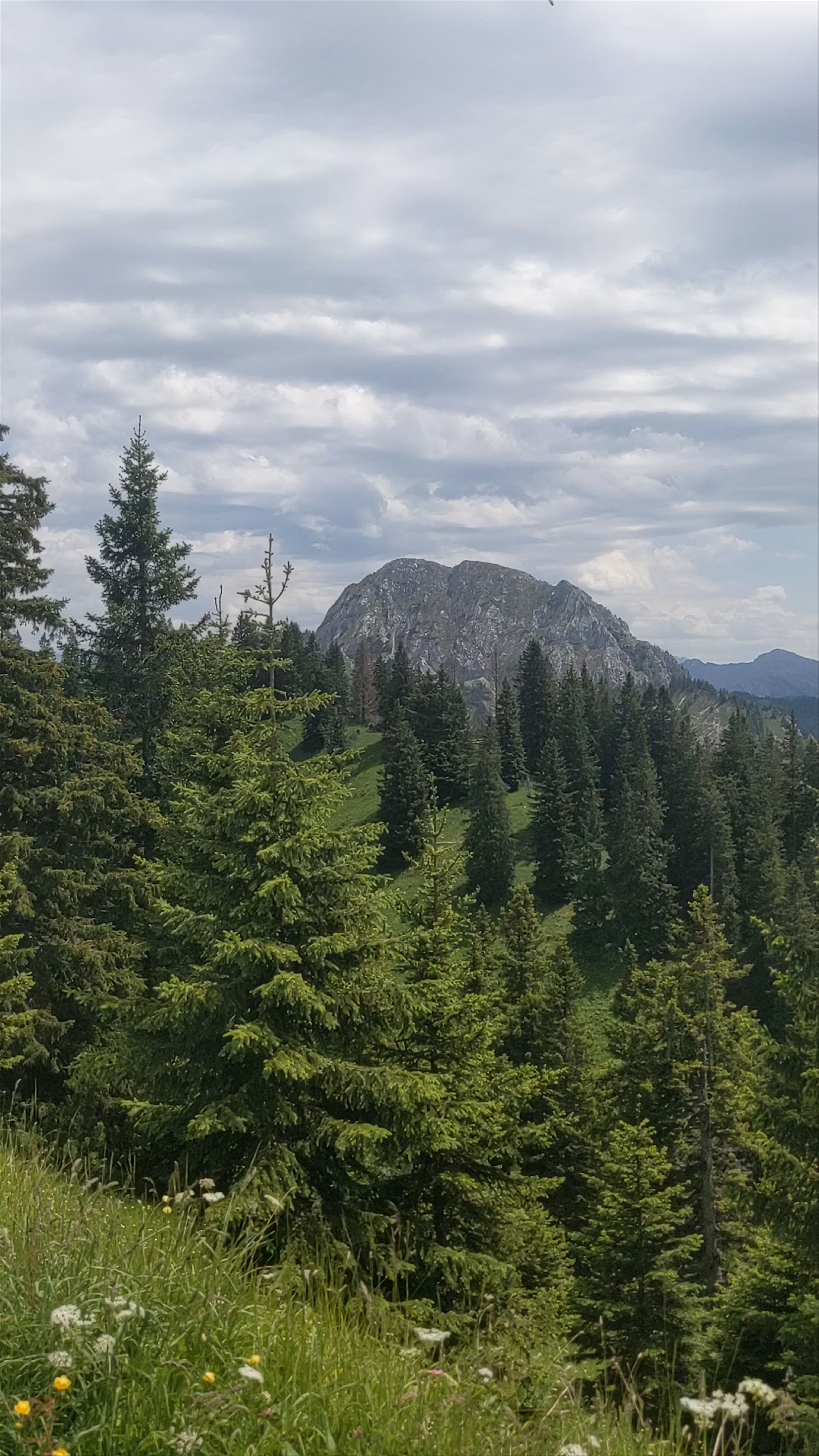 Täfelessattel: Alpine Serenity and Majestic Views in Schwangau, Germany
