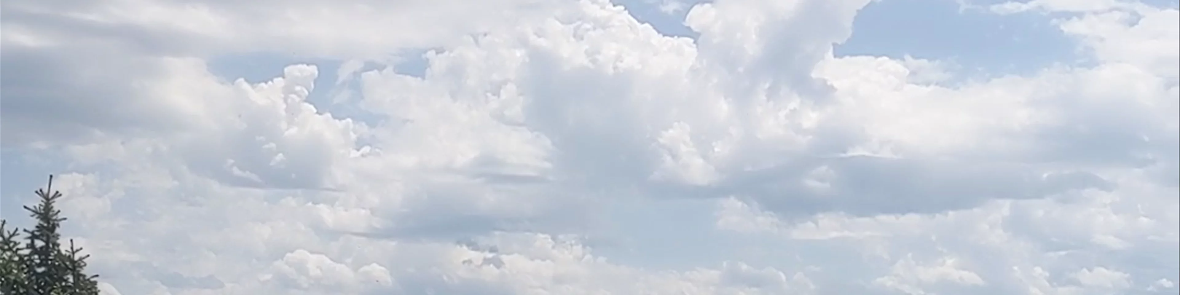 Täfelessattel