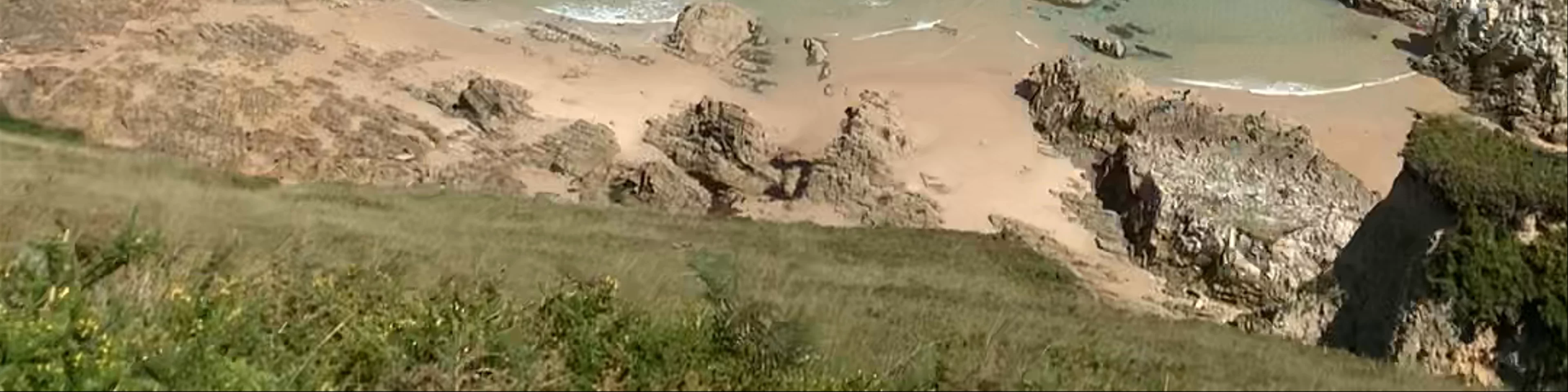 Playa el Vivero