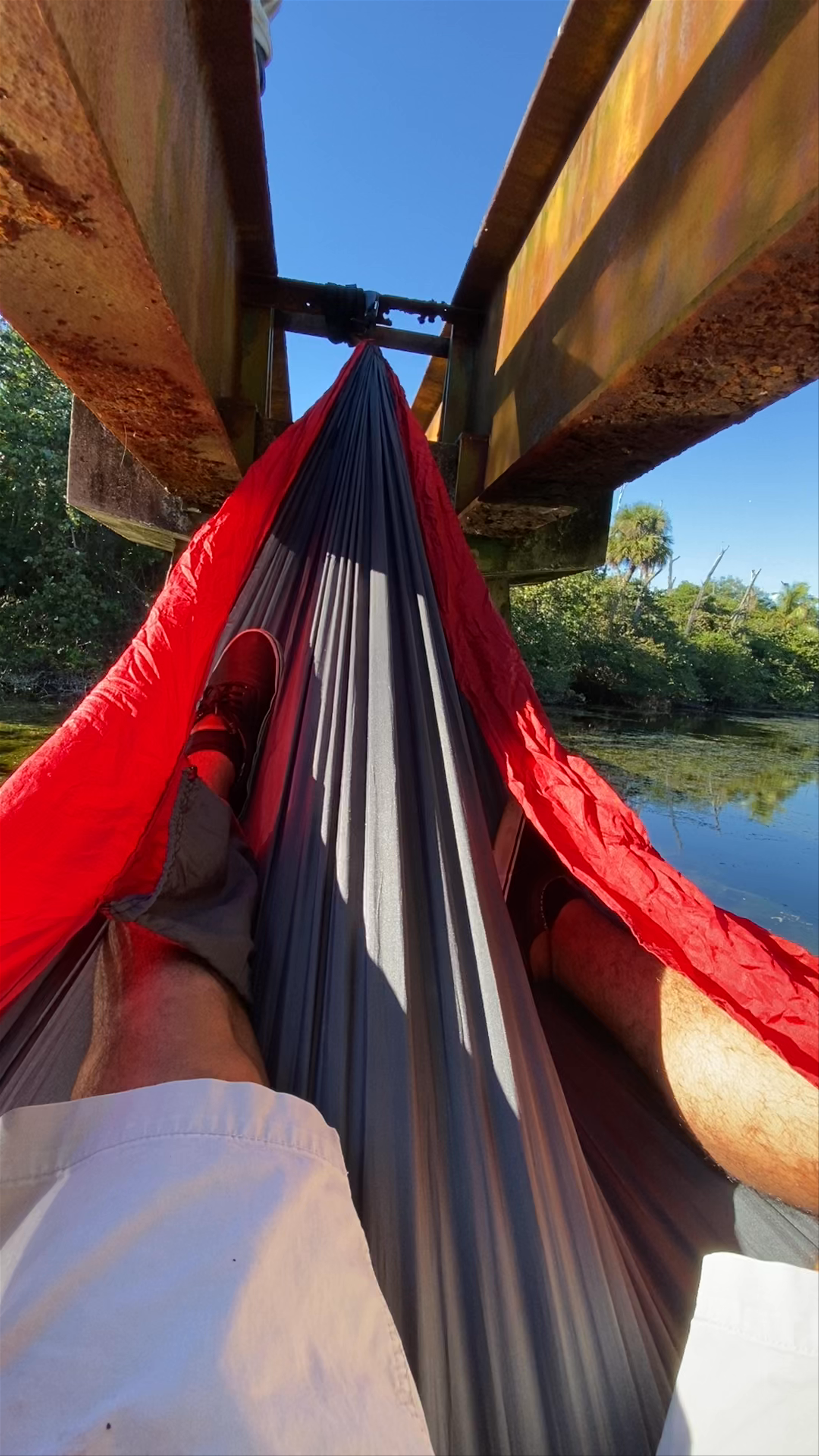 Serene Hammock Escape at Hugh Taylor Birch State Park, Fort Lauderdale