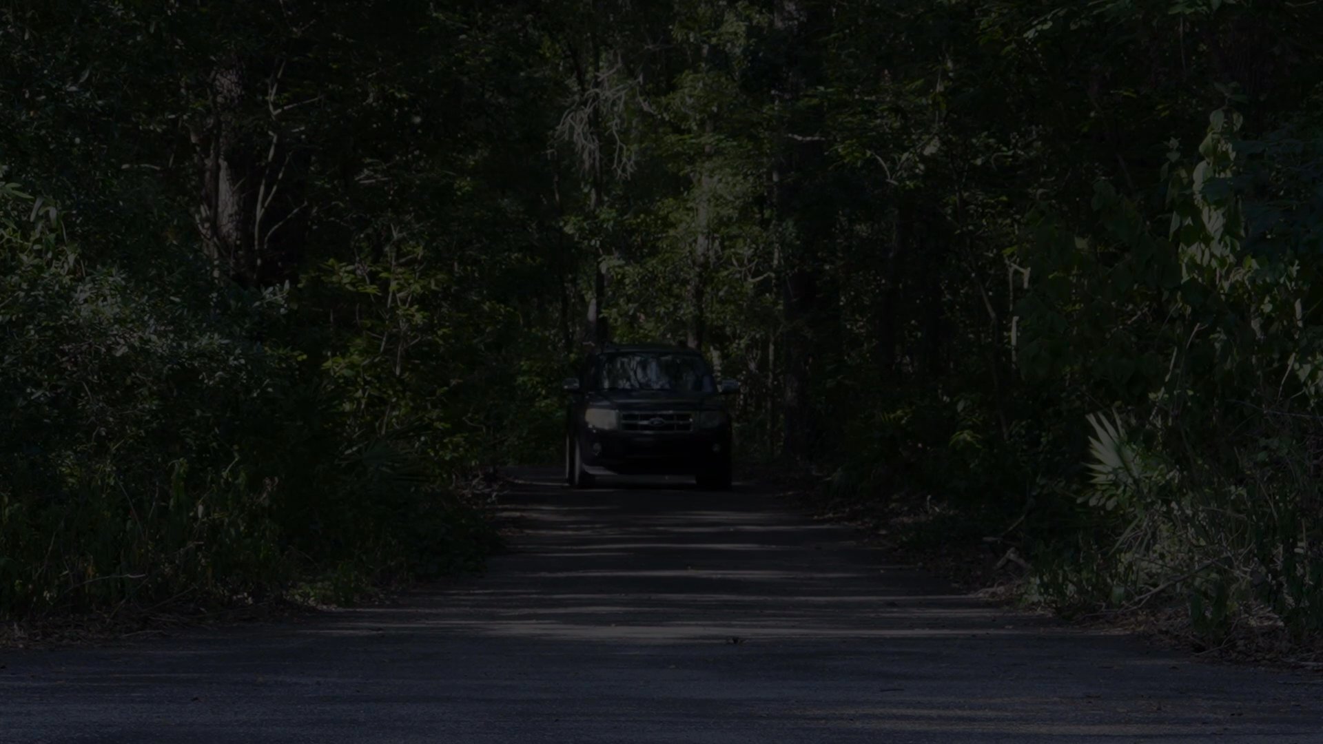 A woman waits in her home as a vehicle approaches the property, followed by a couple entering the house to greet her.