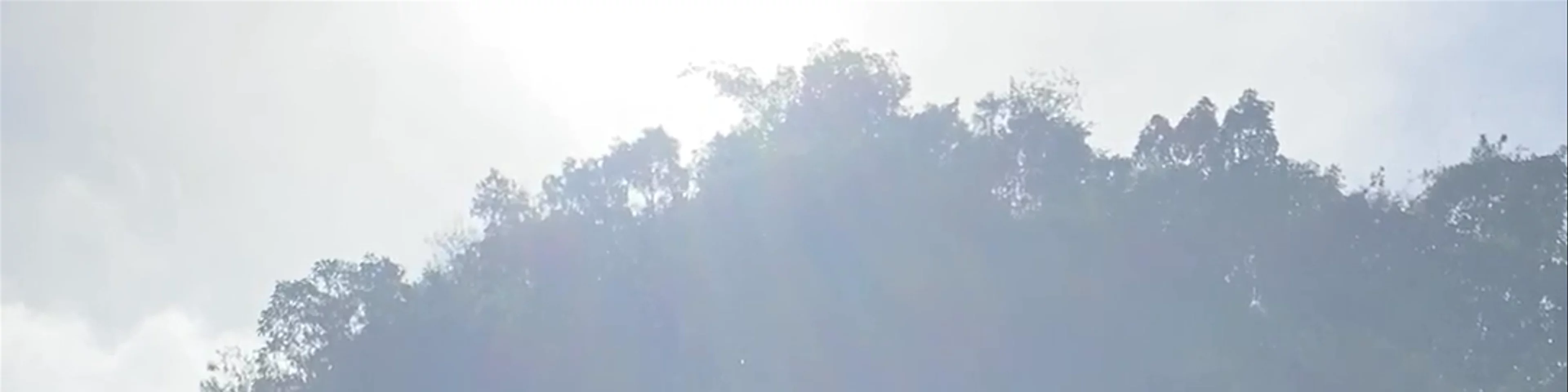 Wang Chung Stream