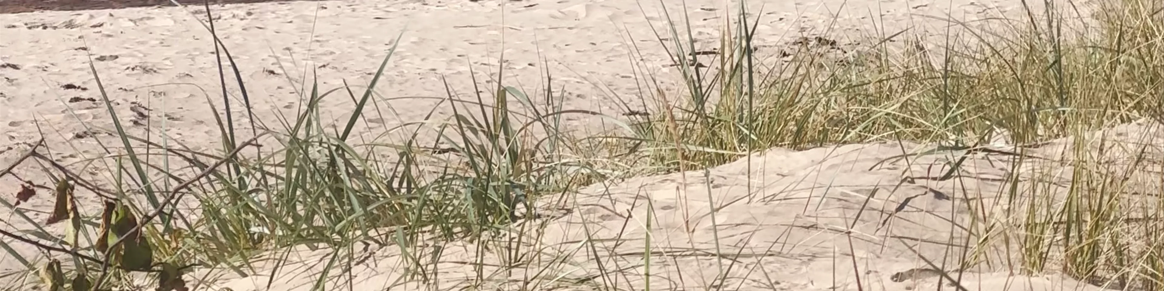 Vitrupe Beach