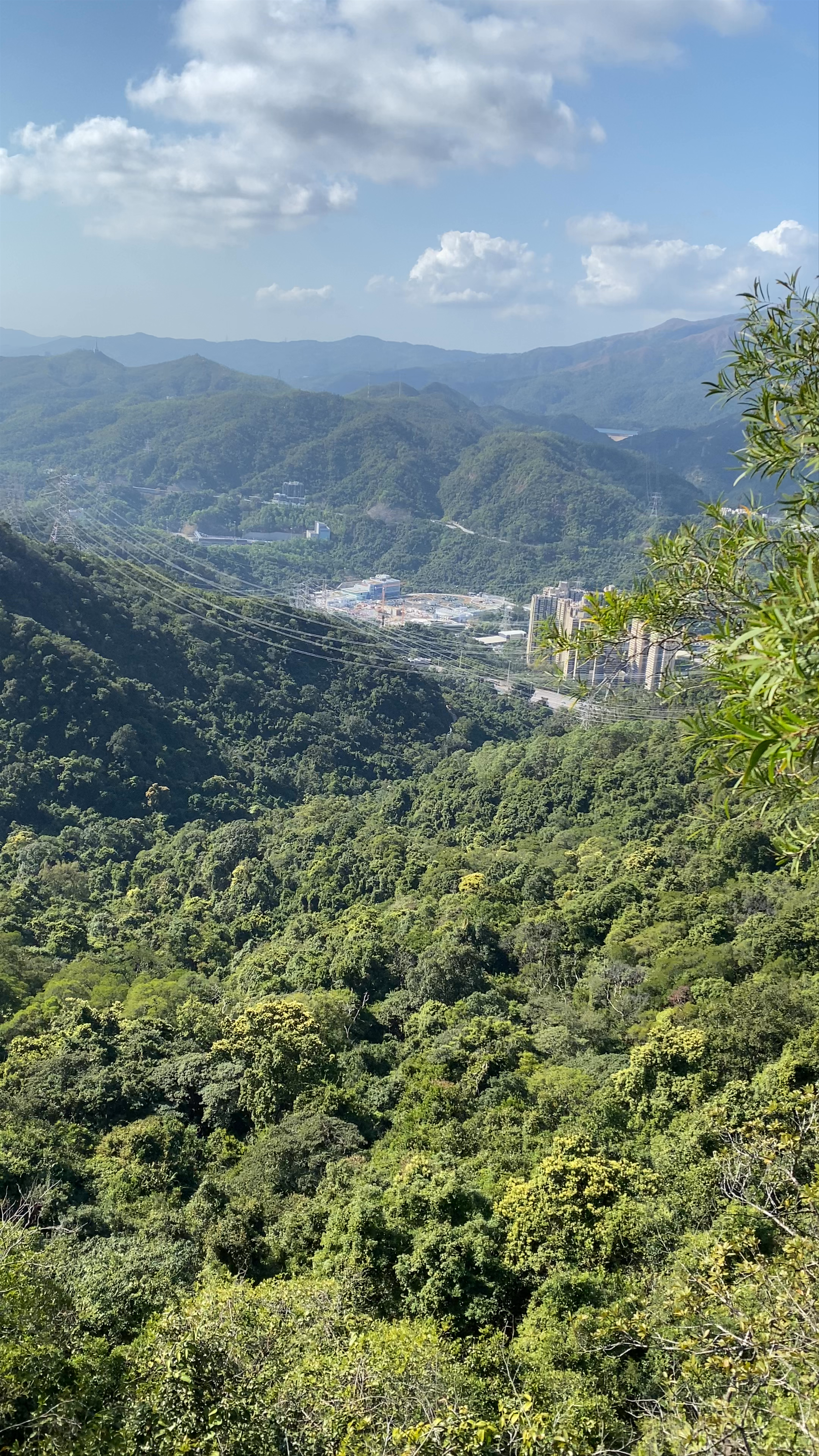 Lion Rock Country Park