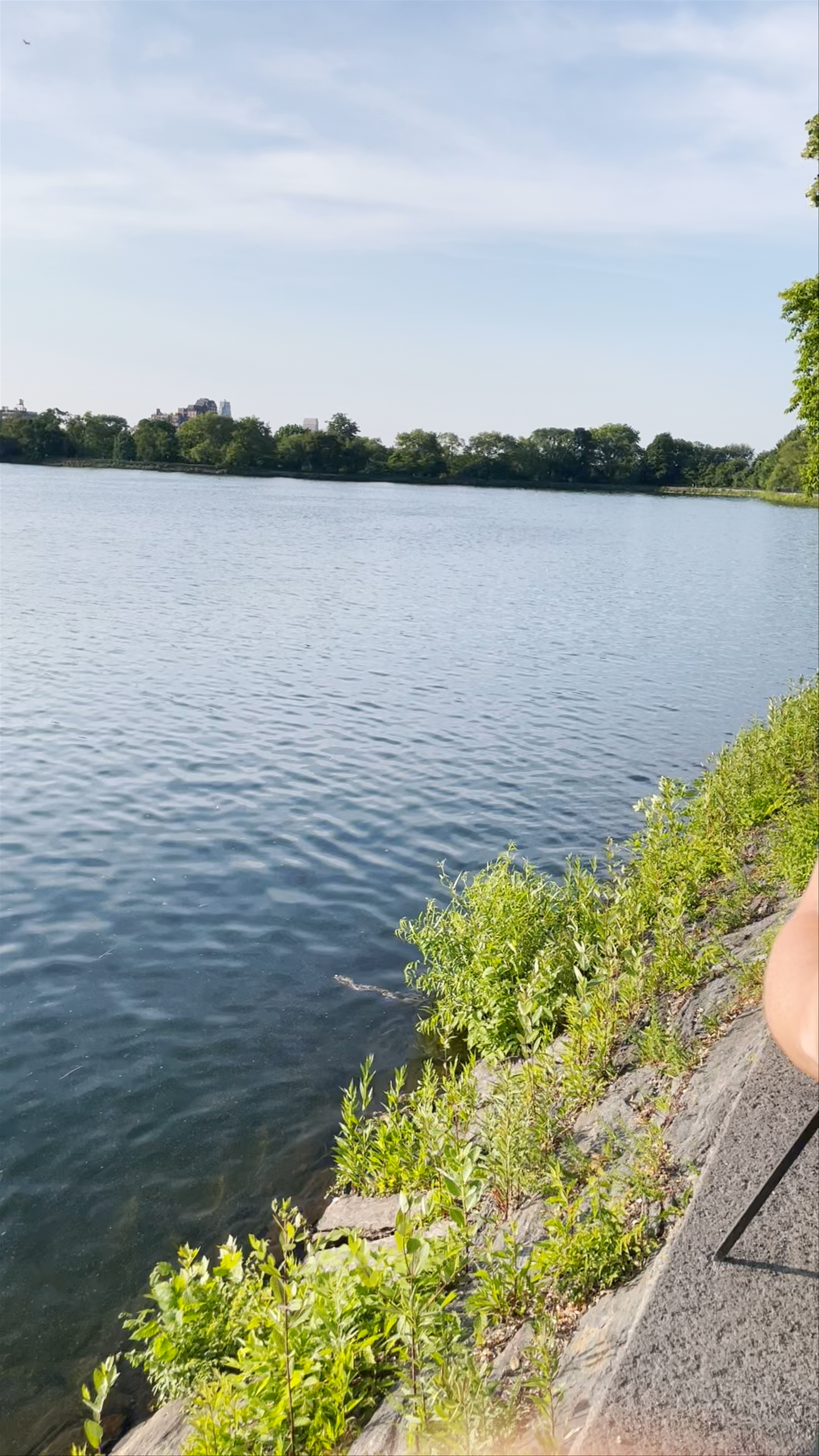 Jacqueline Kennedy Onassis Reservoir Stroll in Central Park, New York