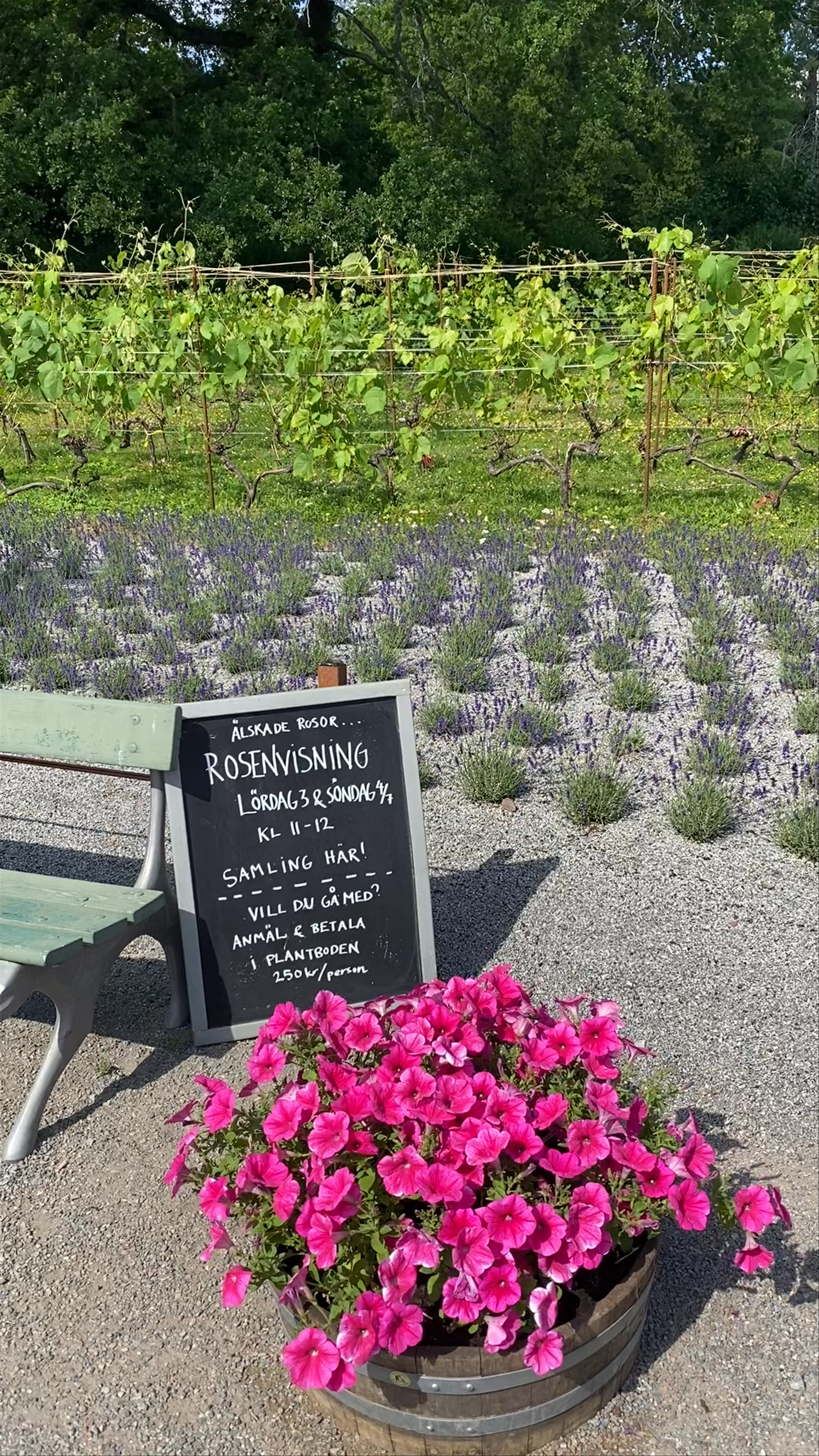 Rosendalstdgård, Stockholm