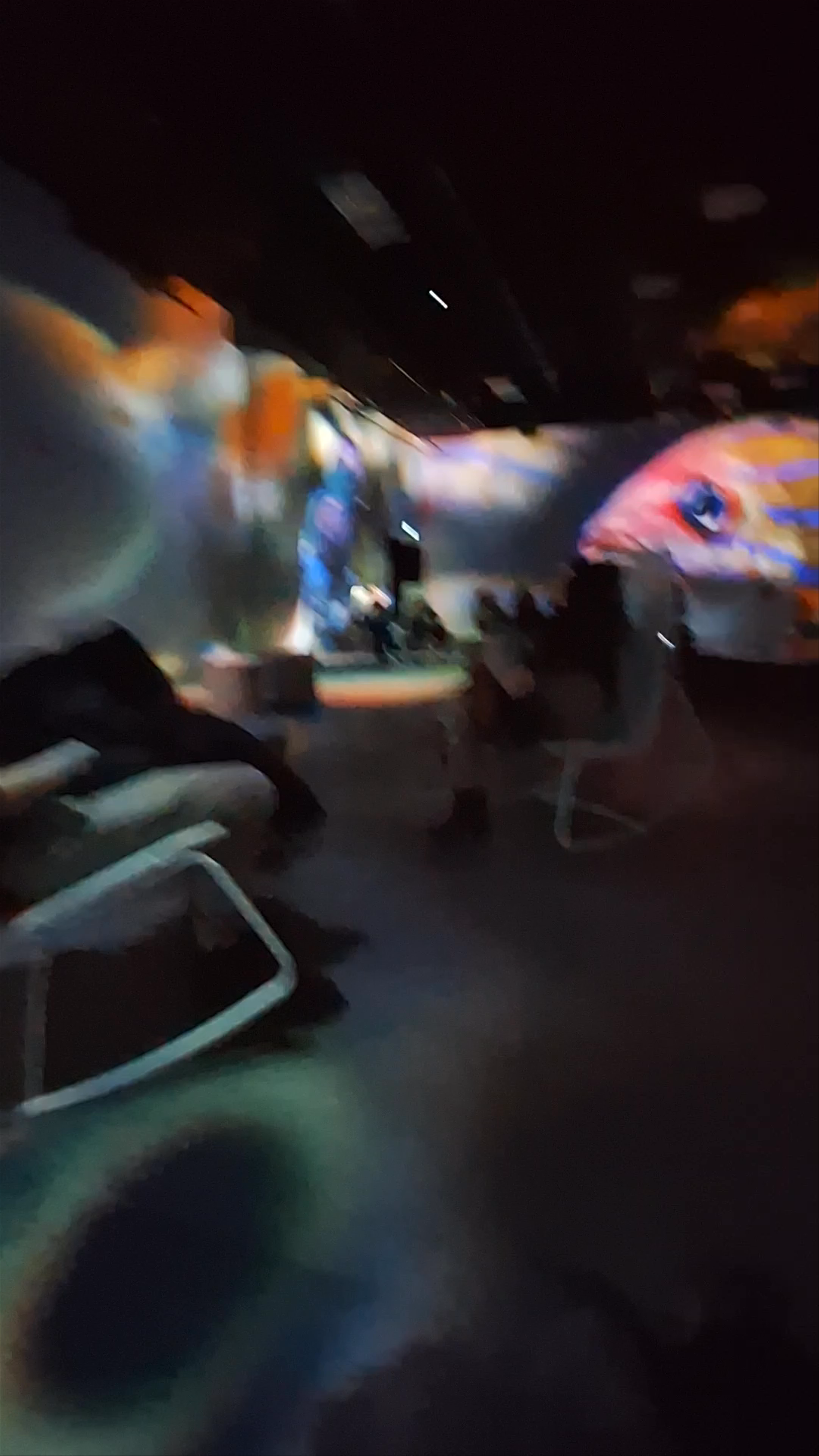 OASIS immersion