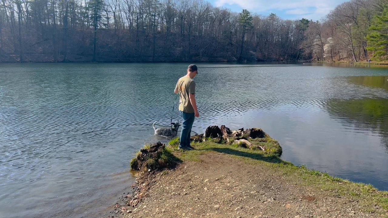 Chenango Valley State Park - Dogs are welcome! - Parks Near Me - Chenango Forks, New York