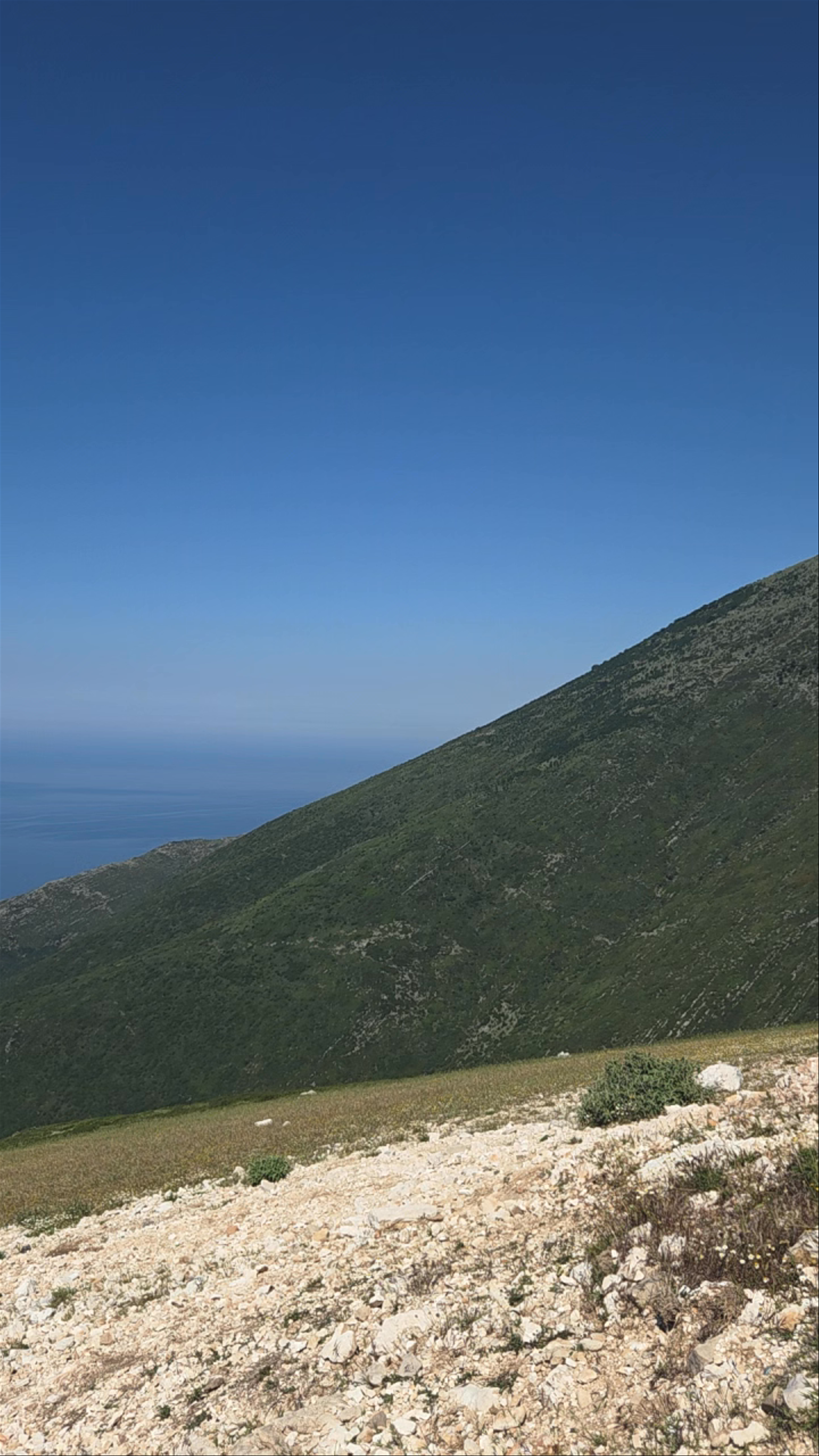 Panorama Llogora