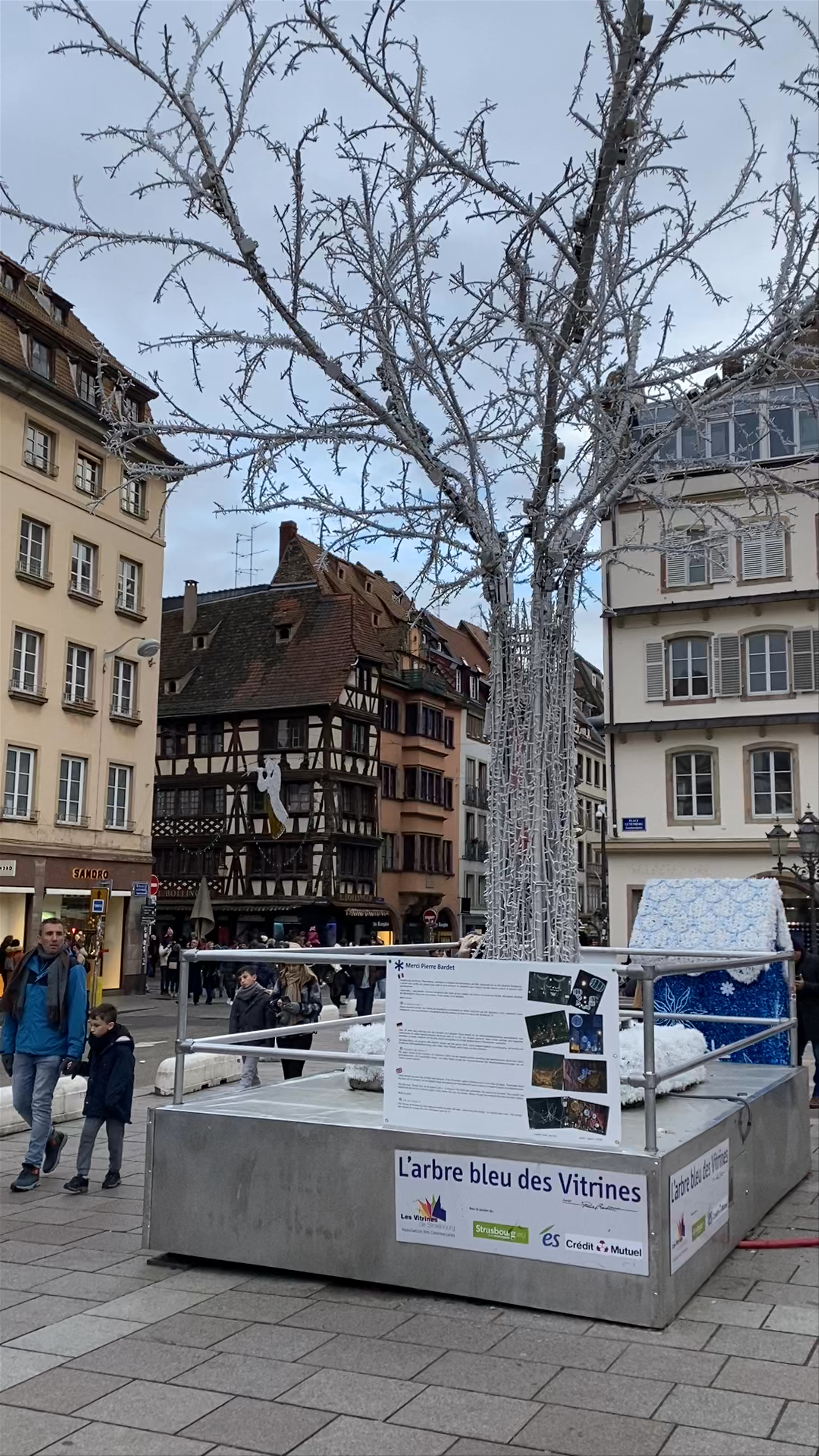 Winter Walk Through Gutenberg Platz, Strasbourg
