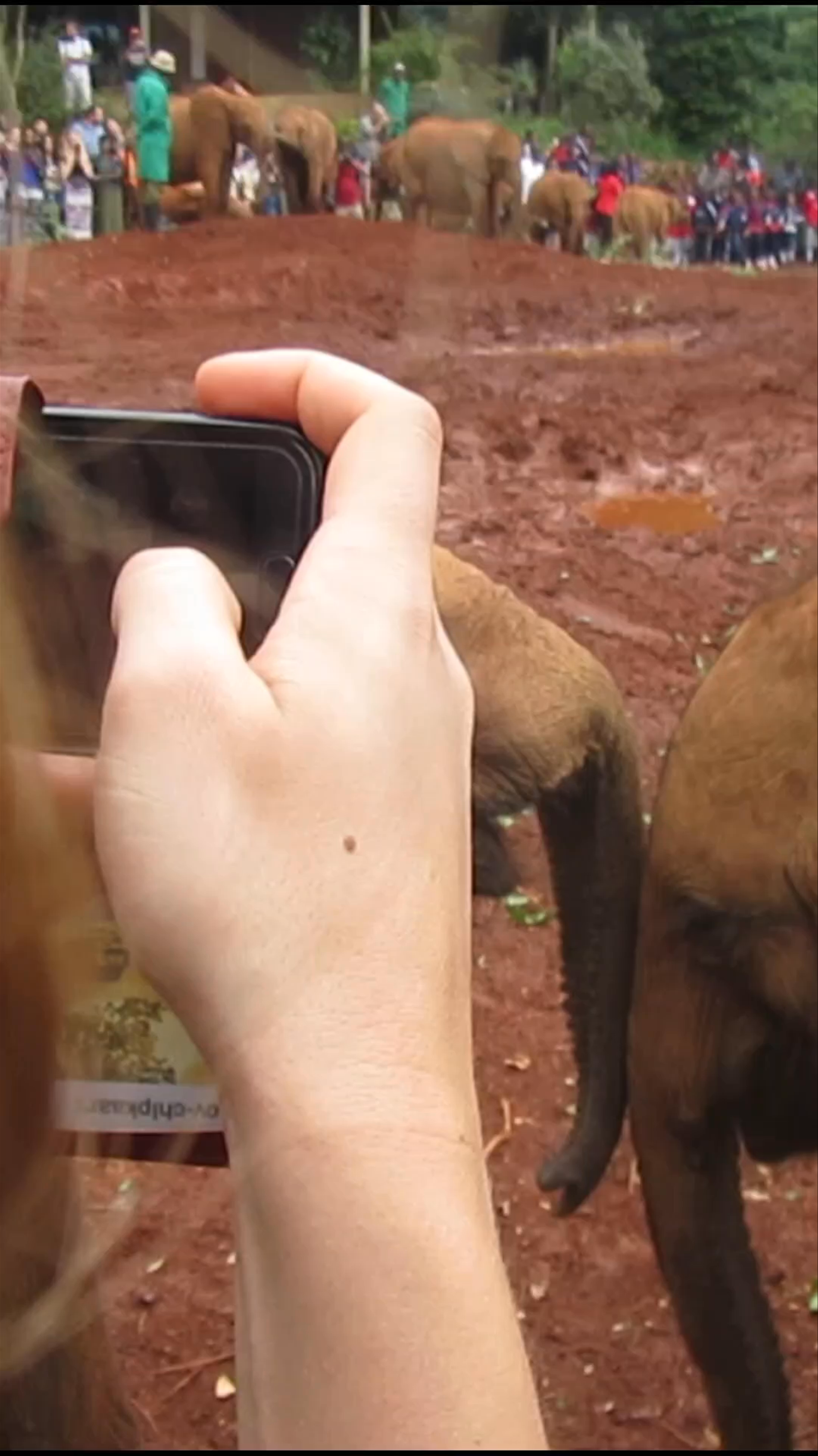 Sheldrick Elephant Nursery