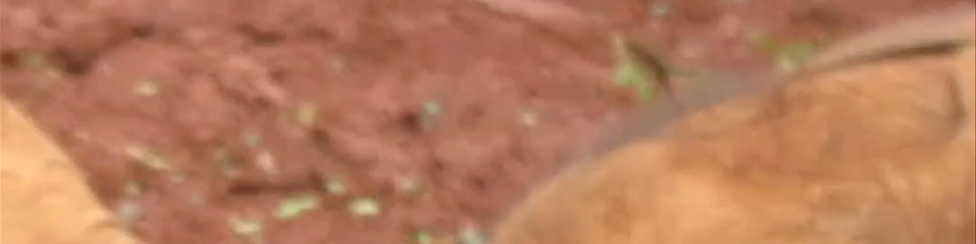 Sheldrick Elephant Nursery