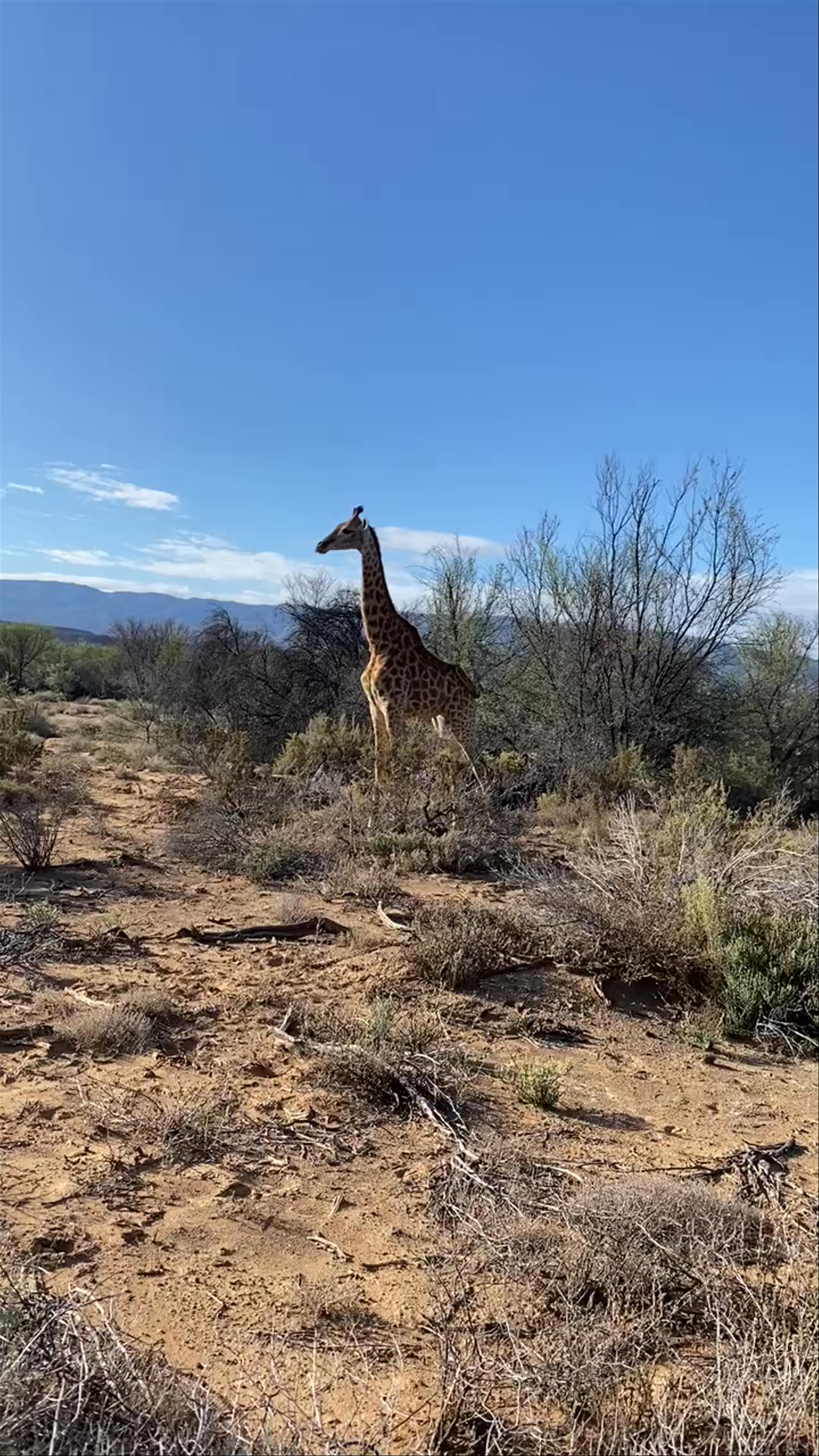 Sanbona Wildlife Reserve