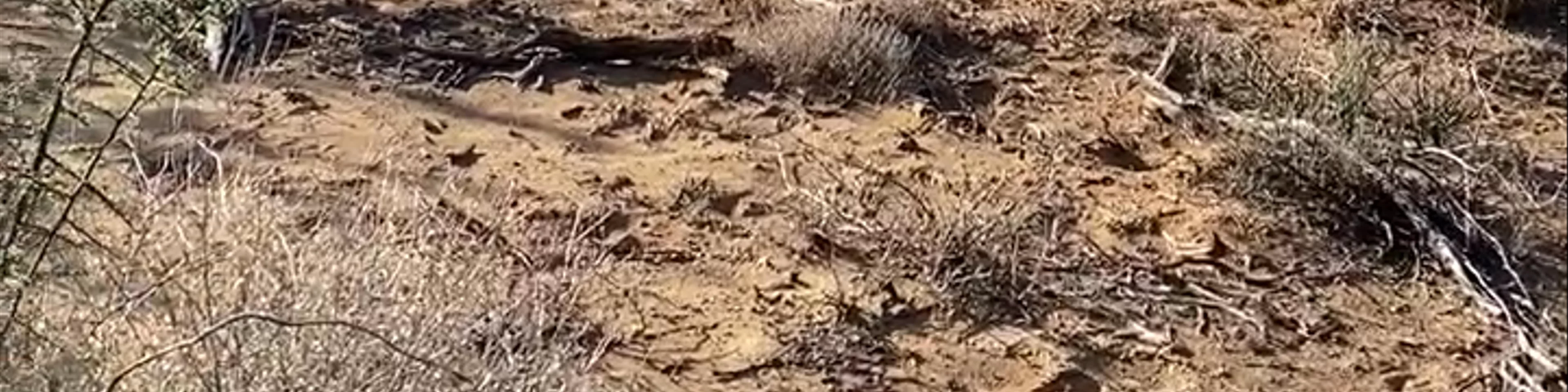 Sanbona Wildlife Reserve