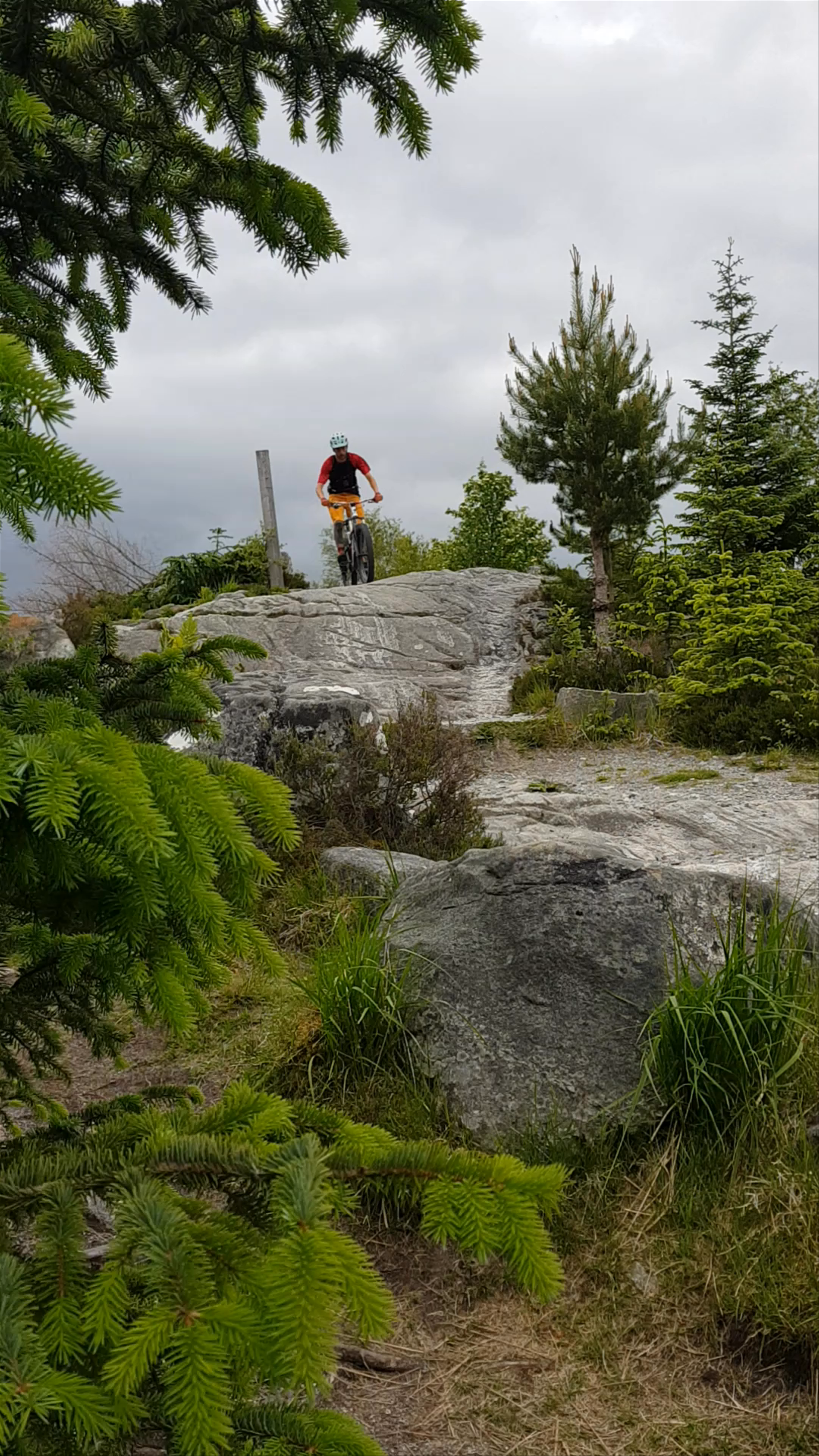 Laggan Wolftrax Mountain Biking Trail Centre