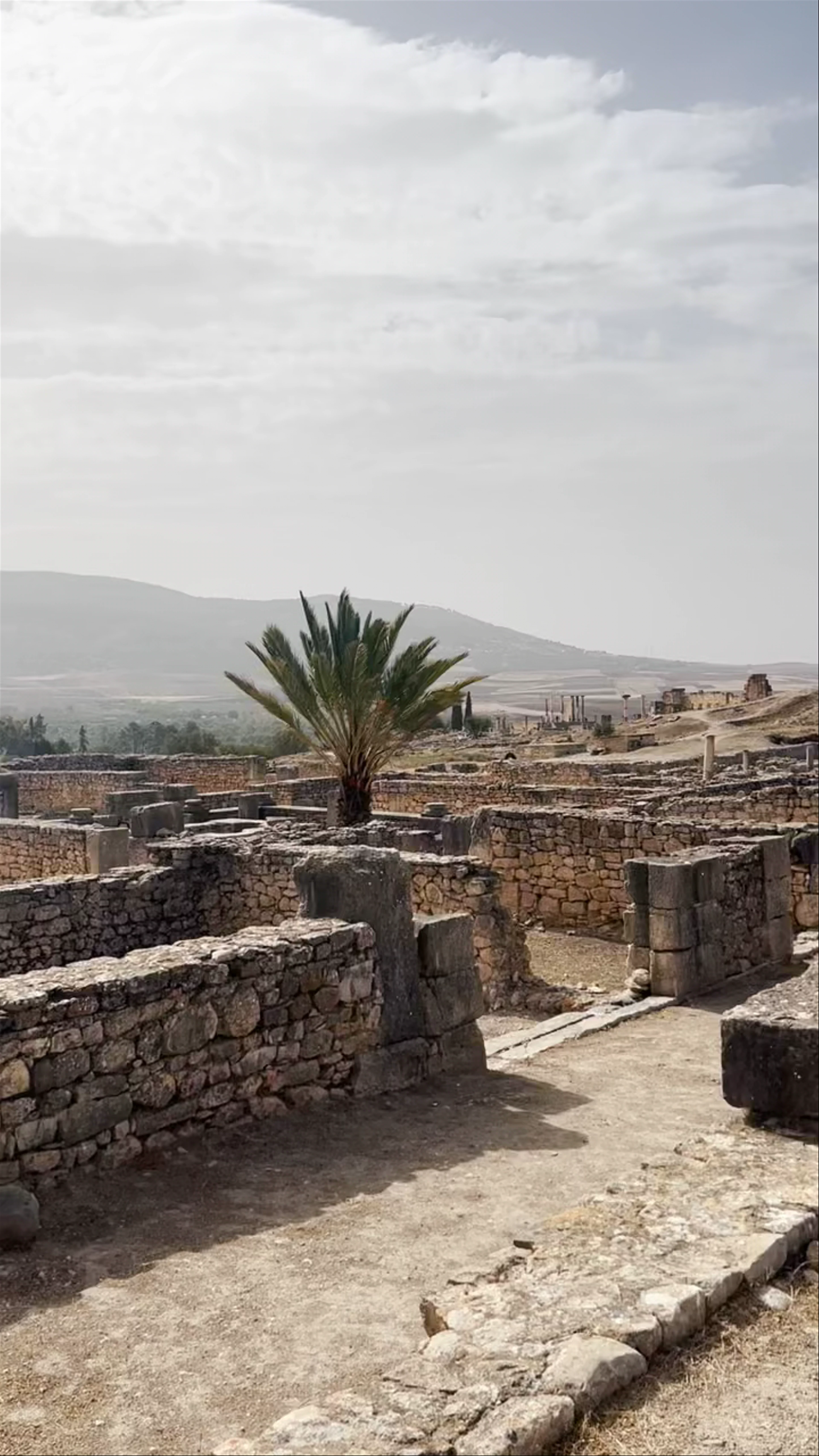 Meknès - Tafilalet